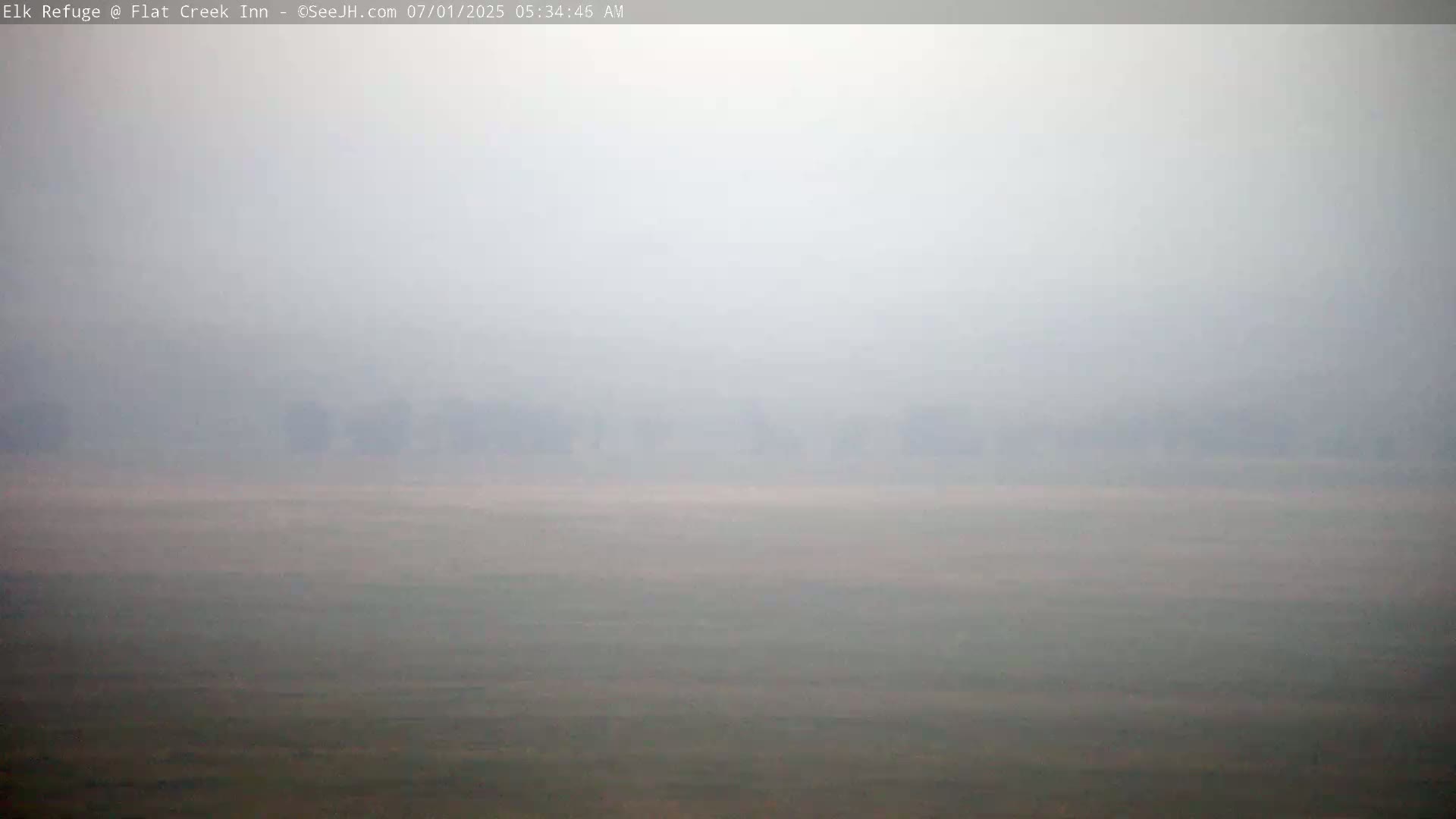 Jackson, Elk Refuge & Teton Mountains from Flat Creek Inn Live Cam - Jackson, Teton, Wyoming, USA