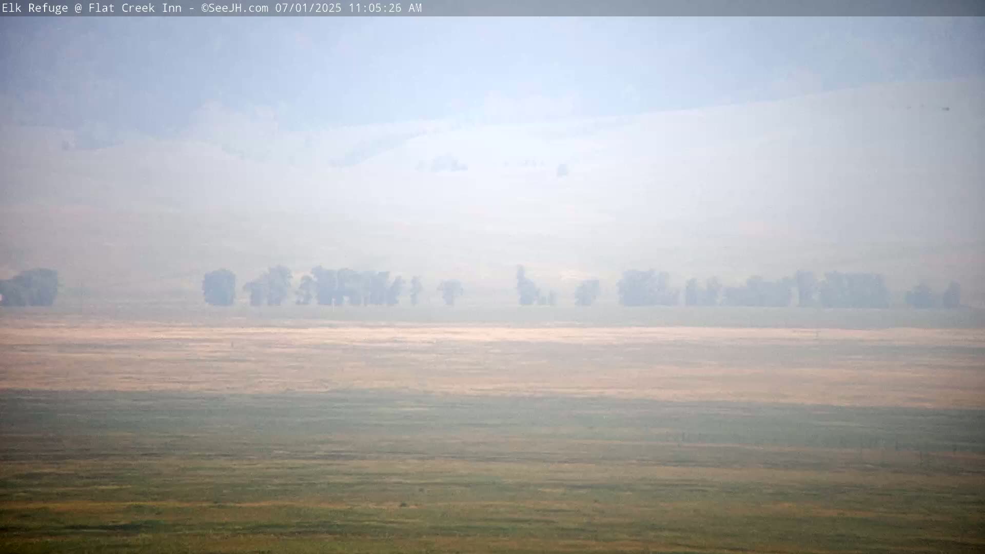 Jackson, Elk Refuge & Teton Mountains from Flat Creek Inn Live Cam - Jackson, Teton, Wyoming, USA