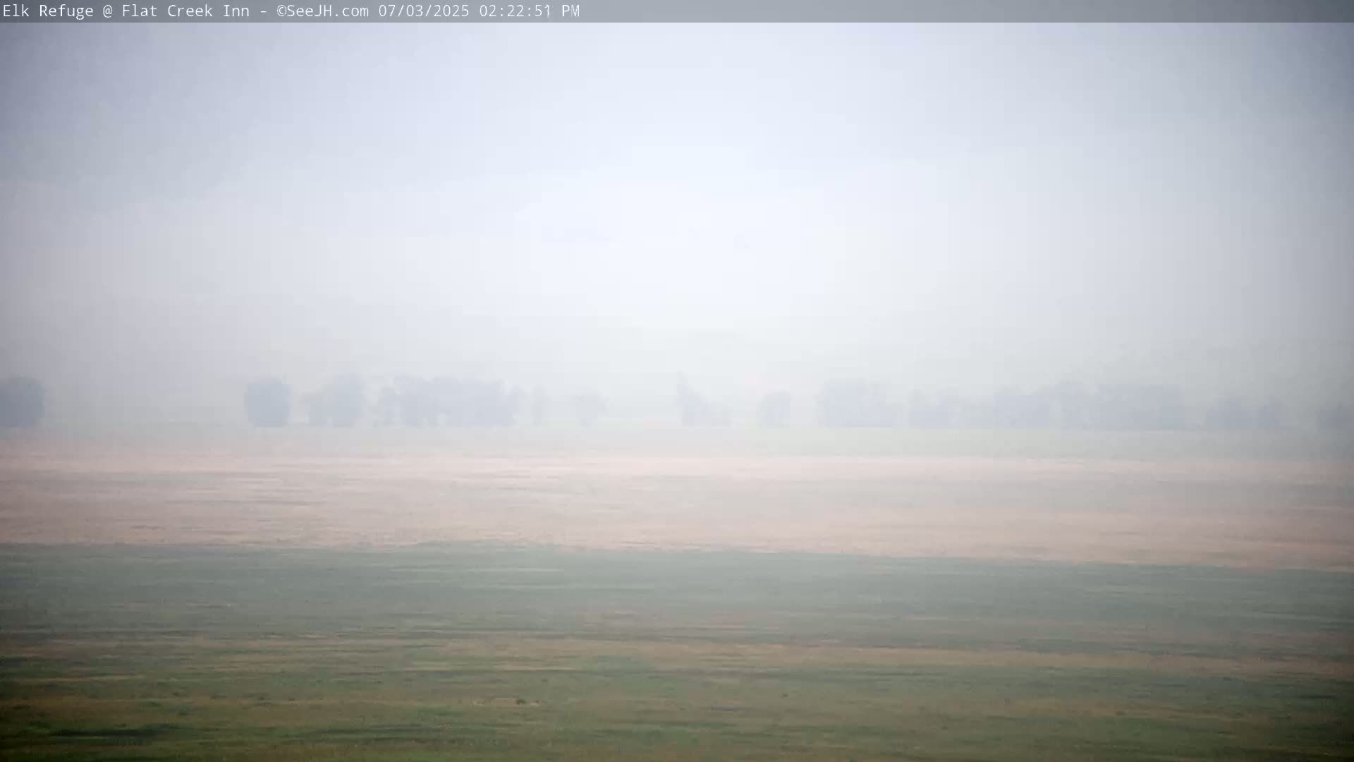 Jackson, Elk Refuge & Teton Mountains from Flat Creek Inn Live Cam - Jackson, Teton, Wyoming, USA