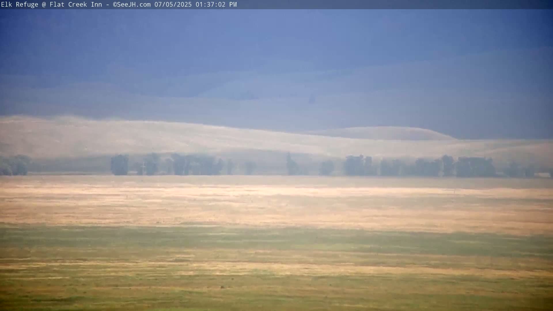 Jackson, Elk Refuge & Teton Mountains from Flat Creek Inn Live Cam - Jackson, Teton, Wyoming, USA