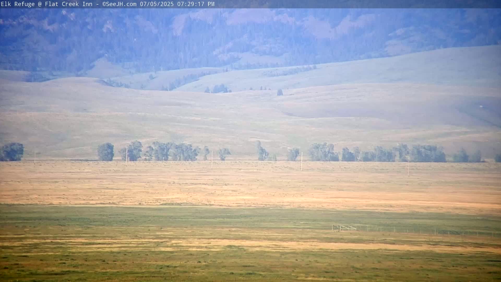 Jackson, Elk Refuge & Teton Mountains from Flat Creek Inn Live Cam - Jackson, Teton, Wyoming, USA