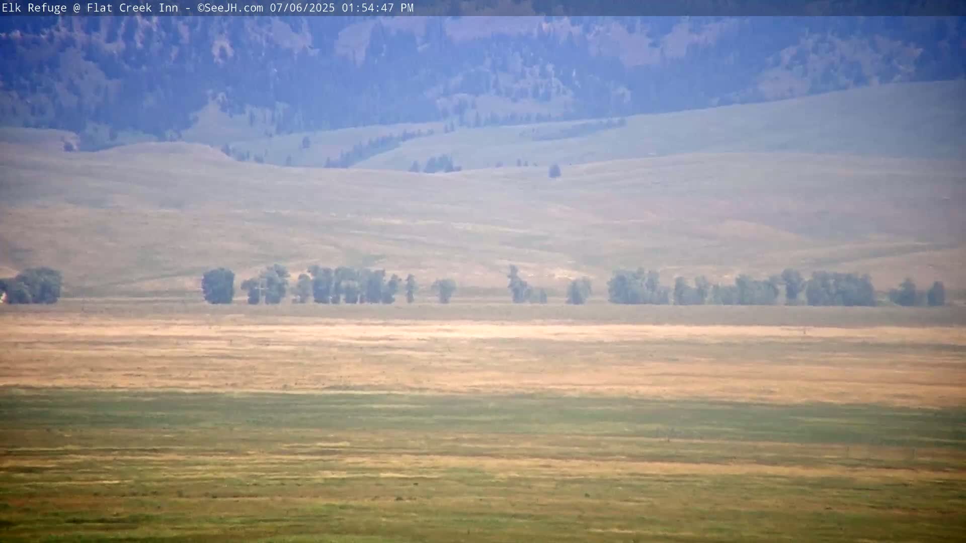 Jackson, Elk Refuge & Teton Mountains from Flat Creek Inn Live Cam - Jackson, Teton, Wyoming, USA