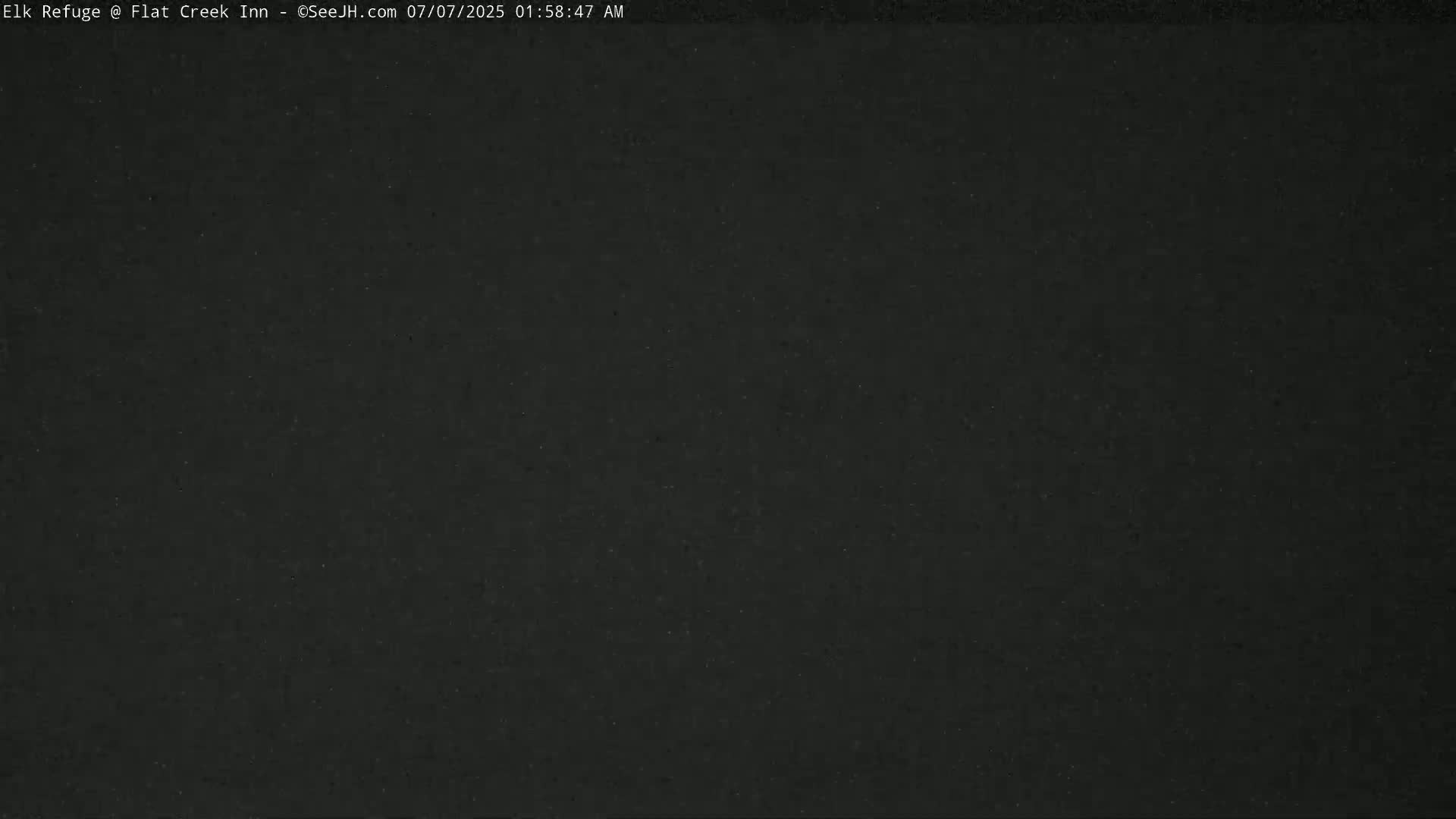 The image shows a uniformly dark gray or black surface.