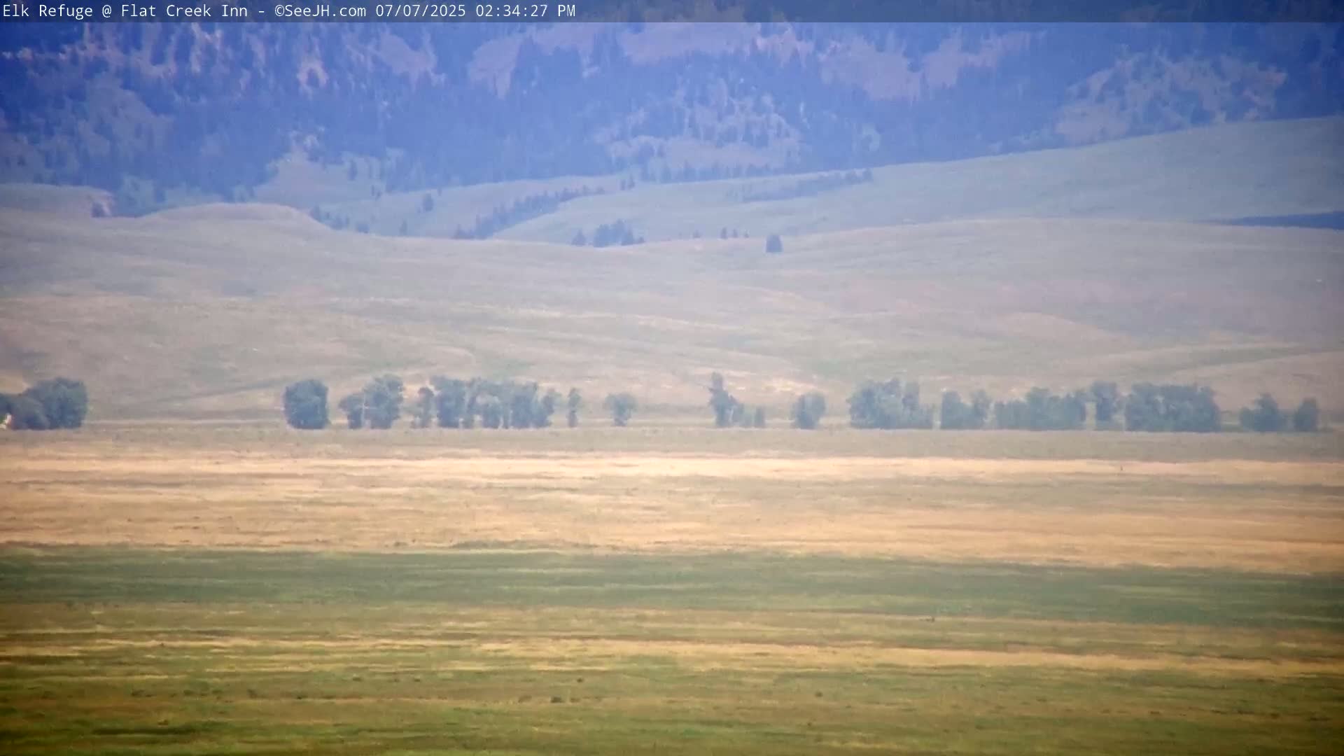 Jackson, Elk Refuge & Teton Mountains from Flat Creek Inn Live Cam - Jackson, Teton, Wyoming, USA