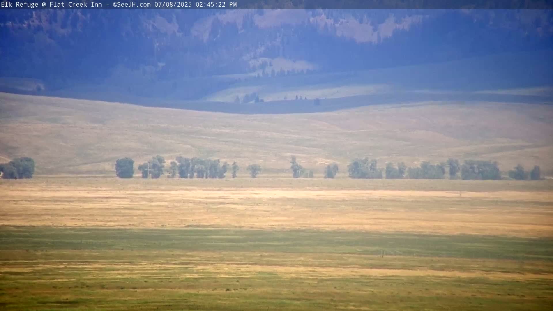 Jackson, Elk Refuge & Teton Mountains from Flat Creek Inn Live Cam - Jackson, Teton, Wyoming, USA