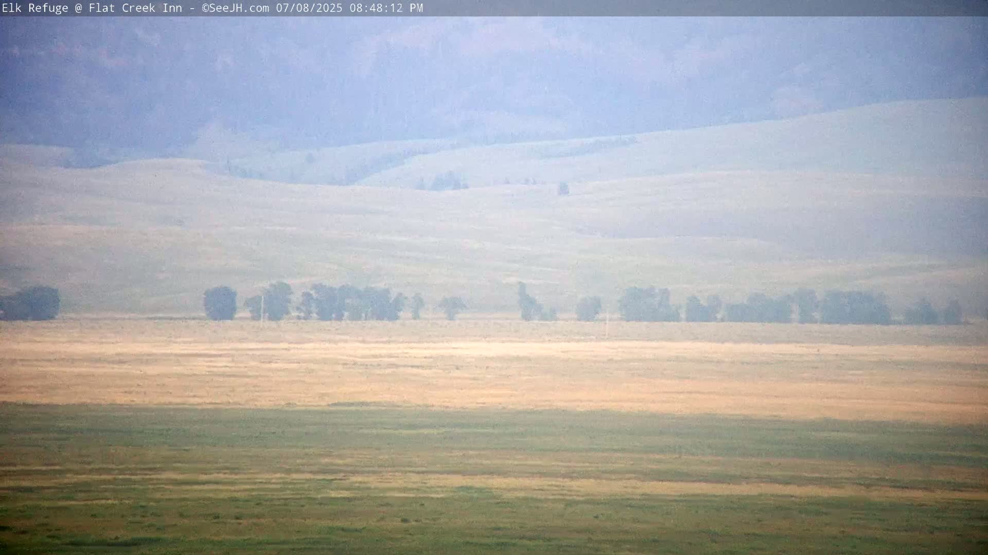 Jackson, Elk Refuge & Teton Mountains from Flat Creek Inn Live Cam - Jackson, Teton, Wyoming, USA