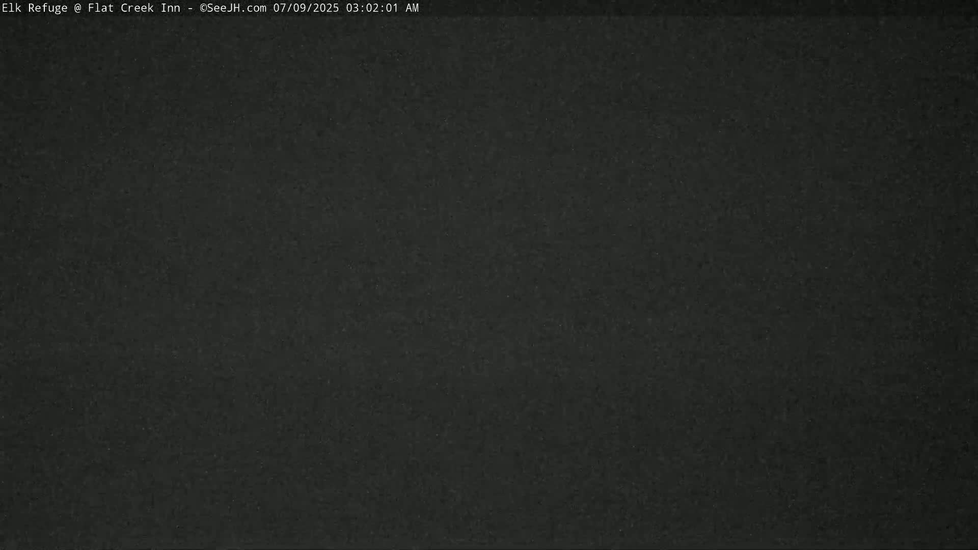 Jackson, Elk Refuge & Teton Mountains from Flat Creek Inn Live Cam - Jackson, Teton, Wyoming, USA
