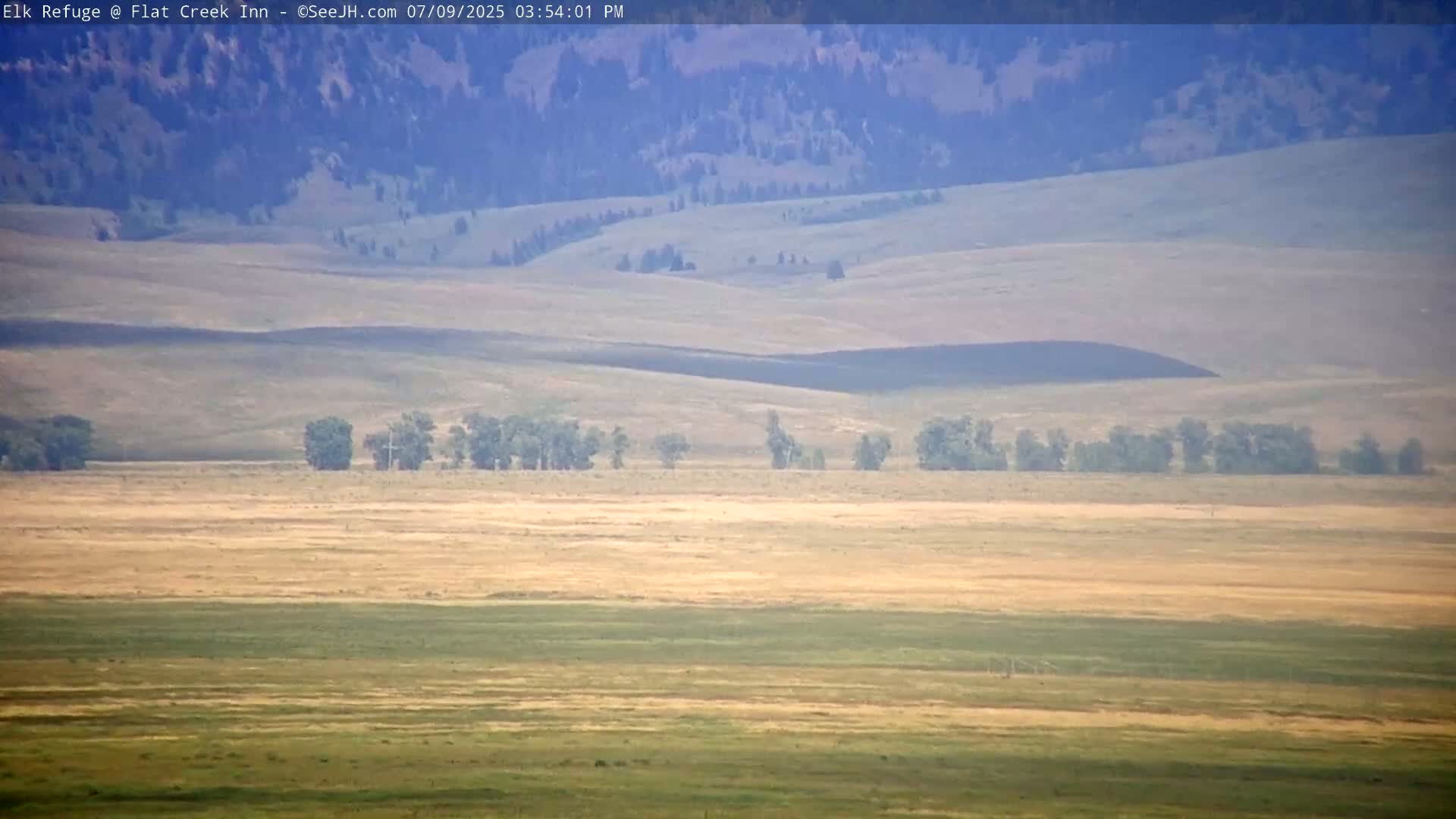 Jackson, Elk Refuge & Teton Mountains from Flat Creek Inn Live Cam - Jackson, Teton, Wyoming, USA