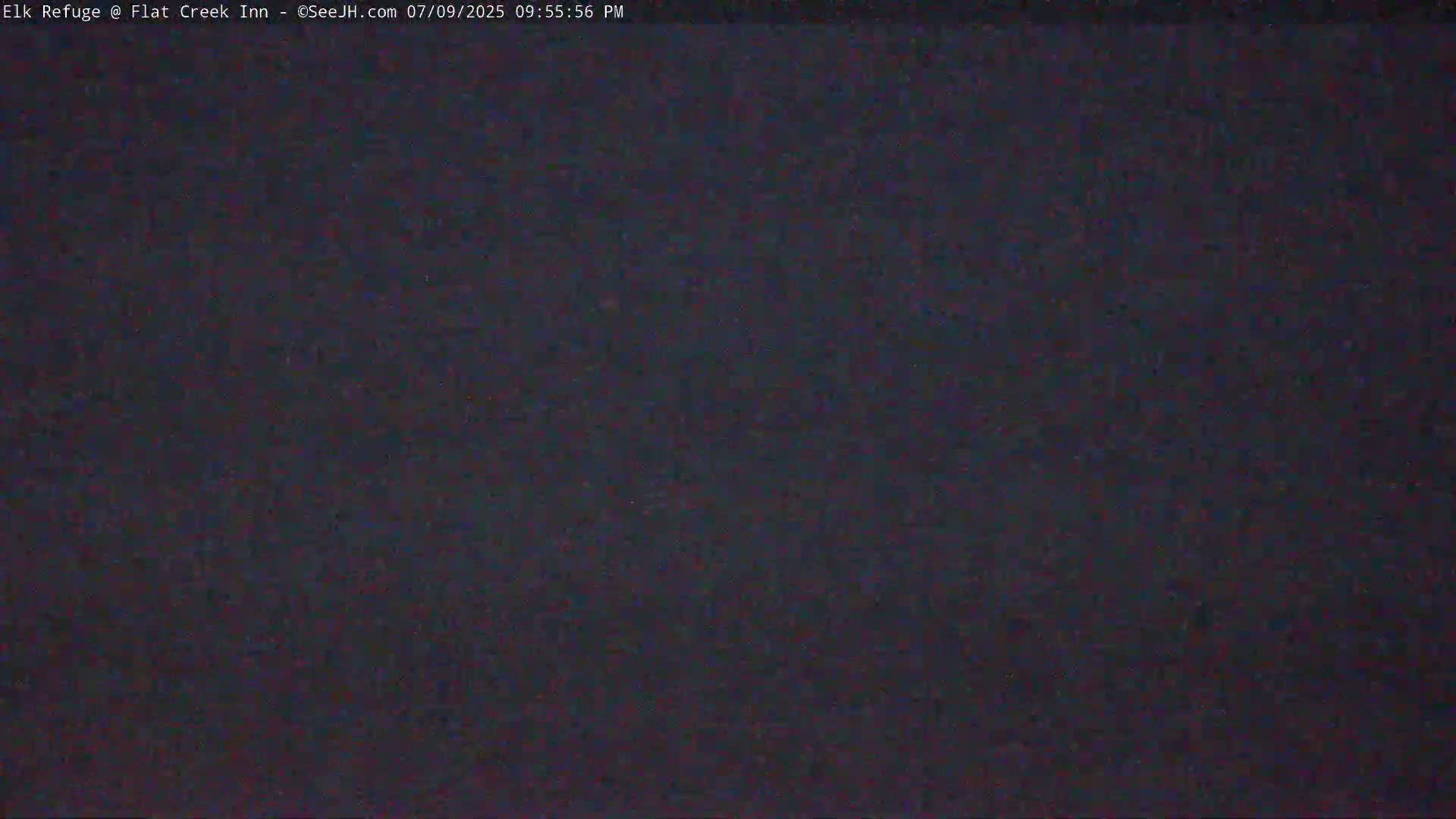 Jackson, Elk Refuge & Teton Mountains from Flat Creek Inn Live Cam - Jackson, Teton, Wyoming, USA