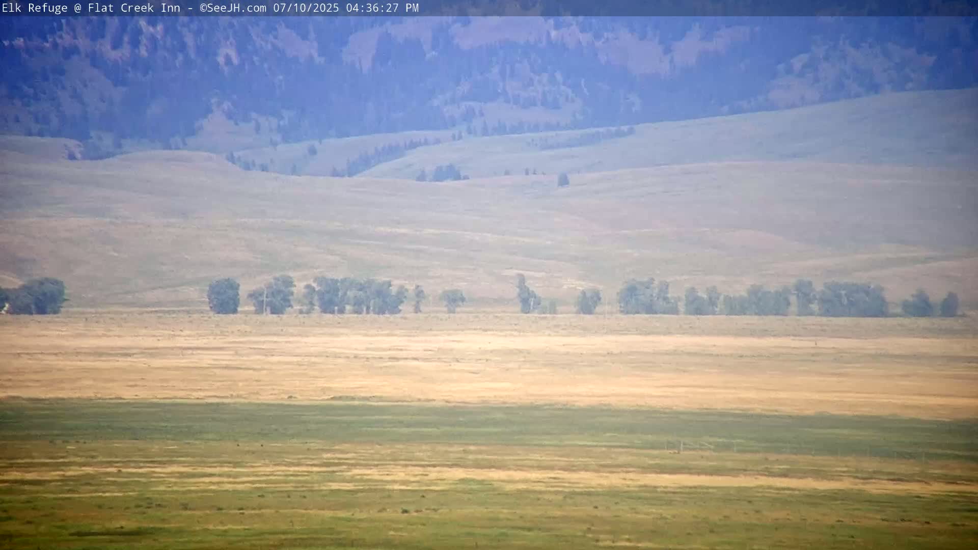 Jackson, Elk Refuge & Teton Mountains from Flat Creek Inn Live Cam - Jackson, Teton, Wyoming, USA