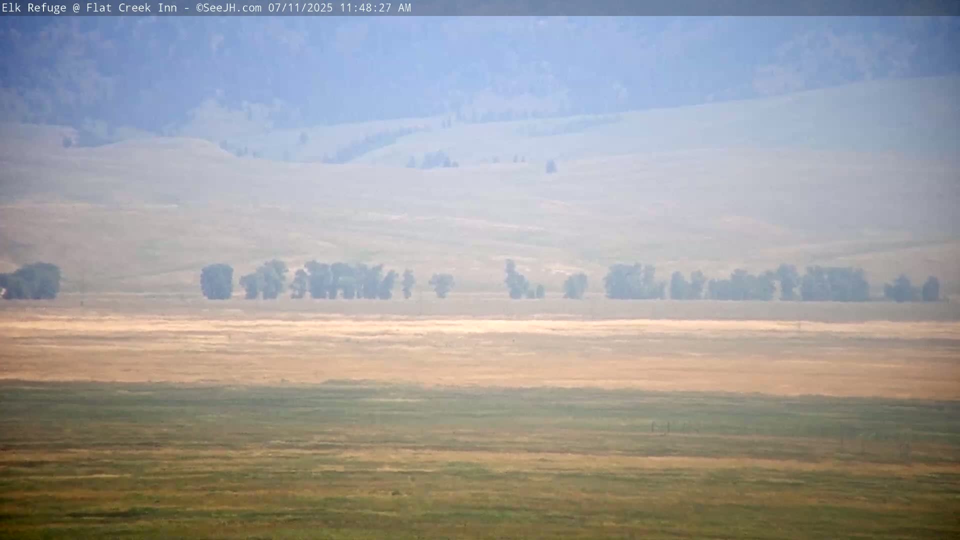 Jackson, Elk Refuge & Teton Mountains from Flat Creek Inn Live Cam - Jackson, Teton, Wyoming, USA