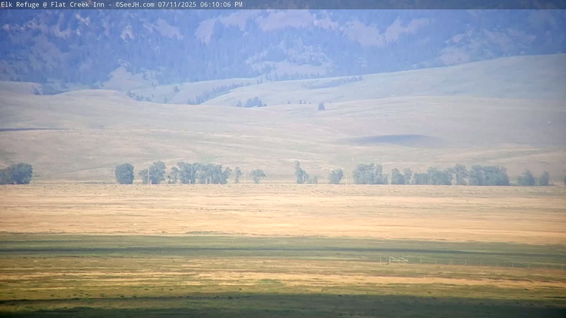 Jackson, Elk Refuge & Teton Mountains from Flat Creek Inn Live Cam - Jackson, Teton, Wyoming, USA