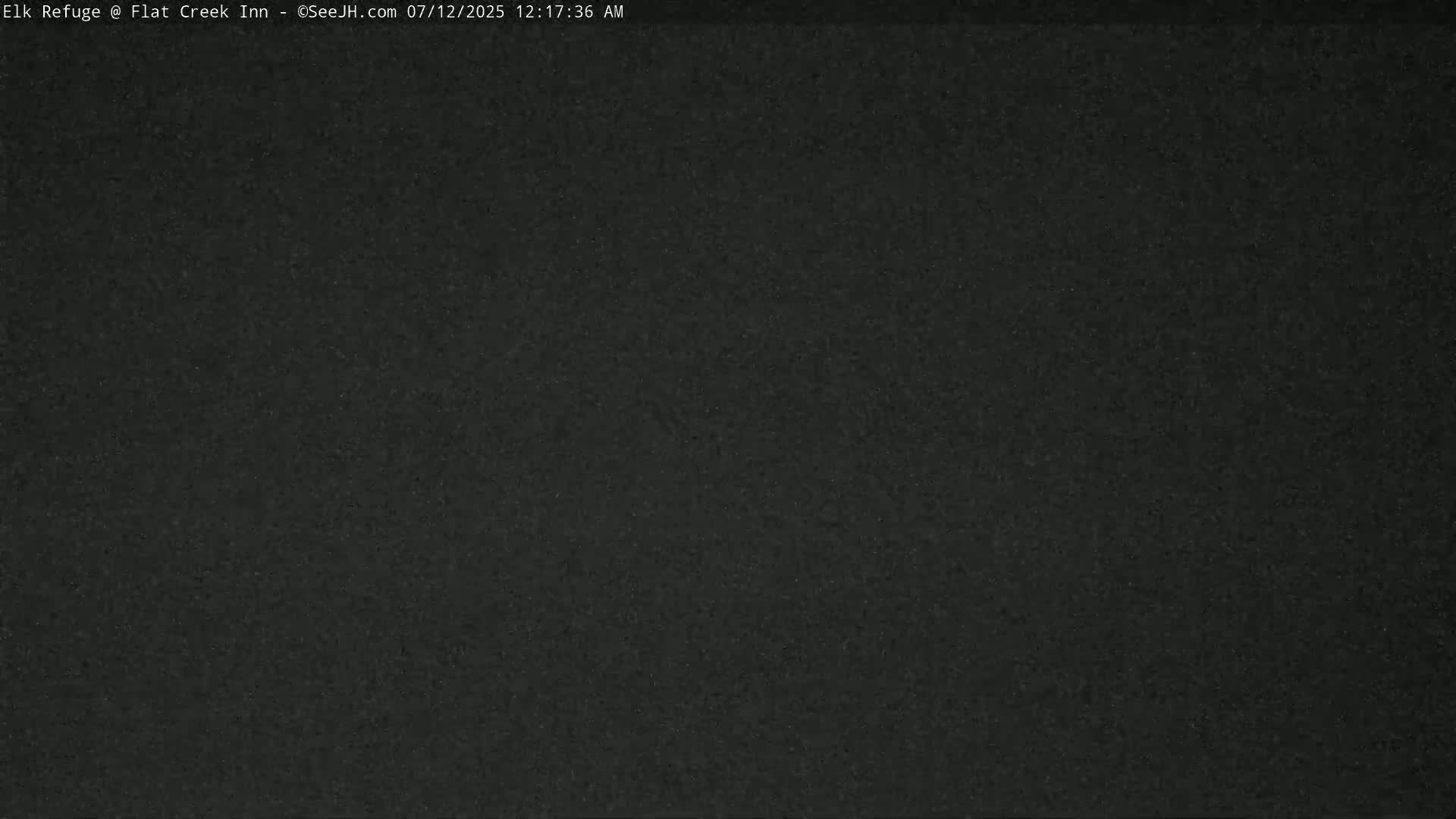 Jackson, Elk Refuge & Teton Mountains from Flat Creek Inn Live Cam - Jackson, Teton, Wyoming, USA