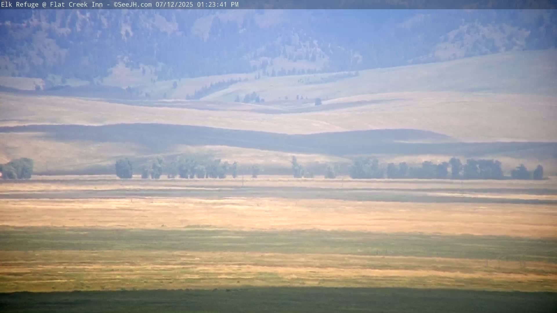 Jackson, Elk Refuge & Teton Mountains from Flat Creek Inn Live Cam - Jackson, Teton, Wyoming, USA