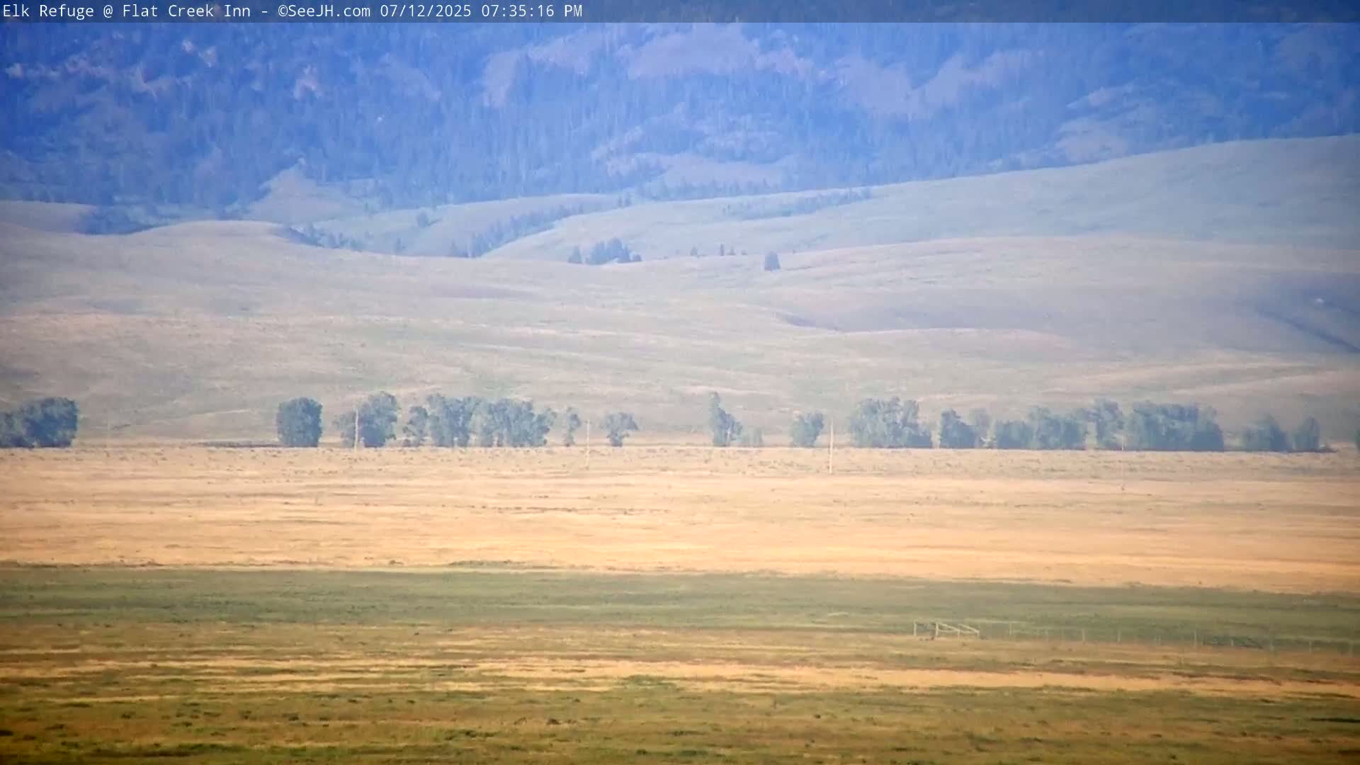Jackson, Elk Refuge & Teton Mountains from Flat Creek Inn Live Cam - Jackson, Teton, Wyoming, USA
