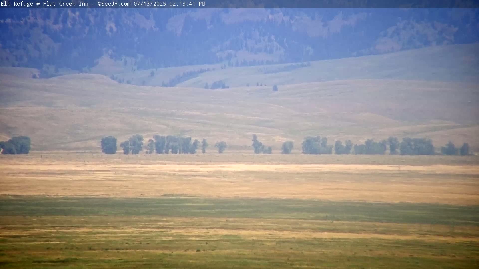 Jackson, Elk Refuge & Teton Mountains from Flat Creek Inn Live Cam - Jackson, Teton, Wyoming, USA