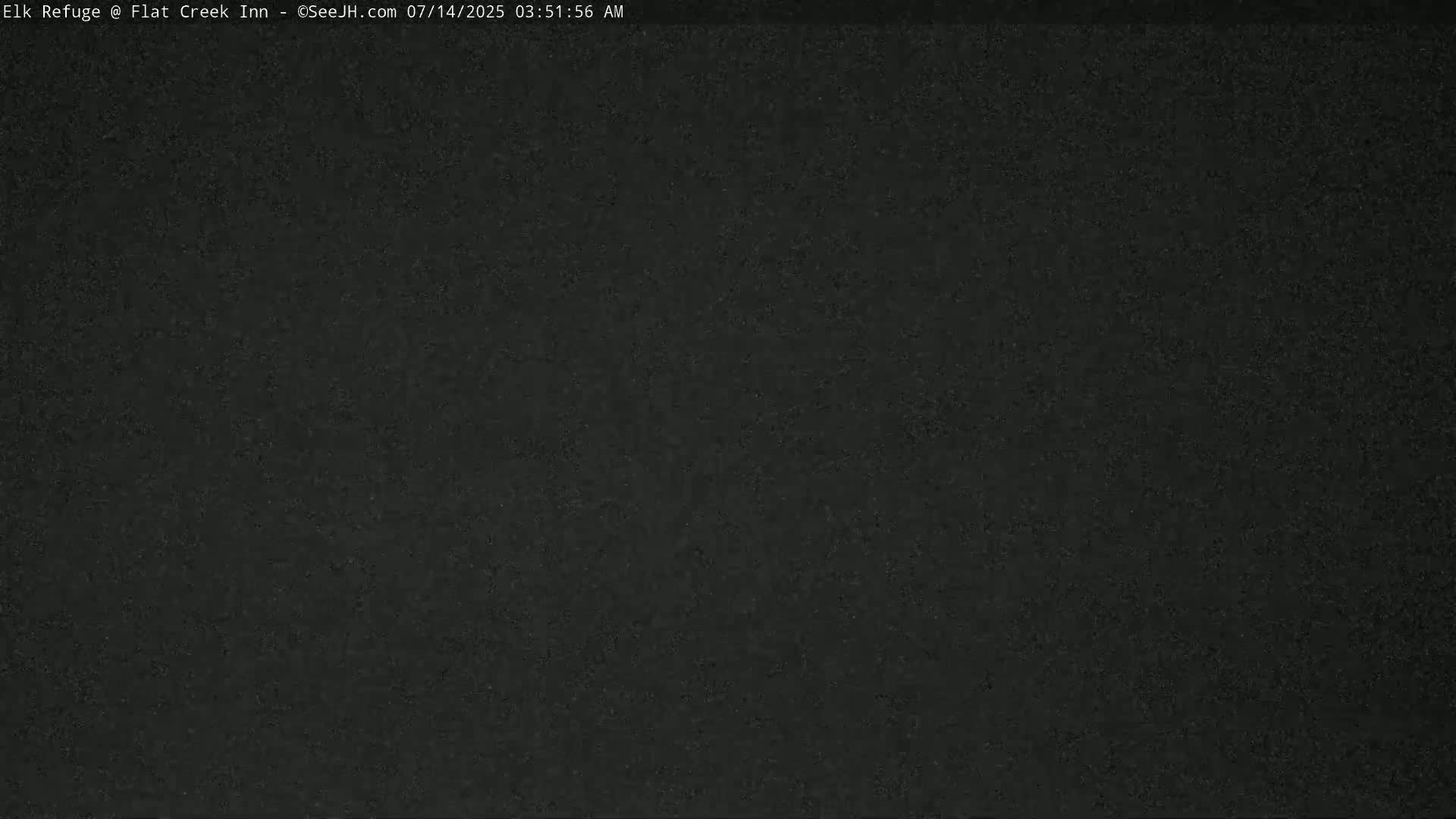 Jackson, Elk Refuge & Teton Mountains from Flat Creek Inn Live Cam - Jackson, Teton, Wyoming, USA