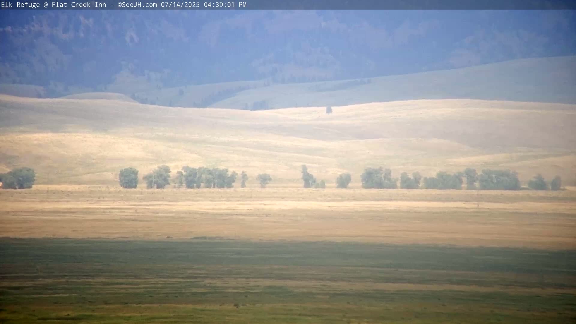 Jackson, Elk Refuge & Teton Mountains from Flat Creek Inn Live Cam - Jackson, Teton, Wyoming, USA