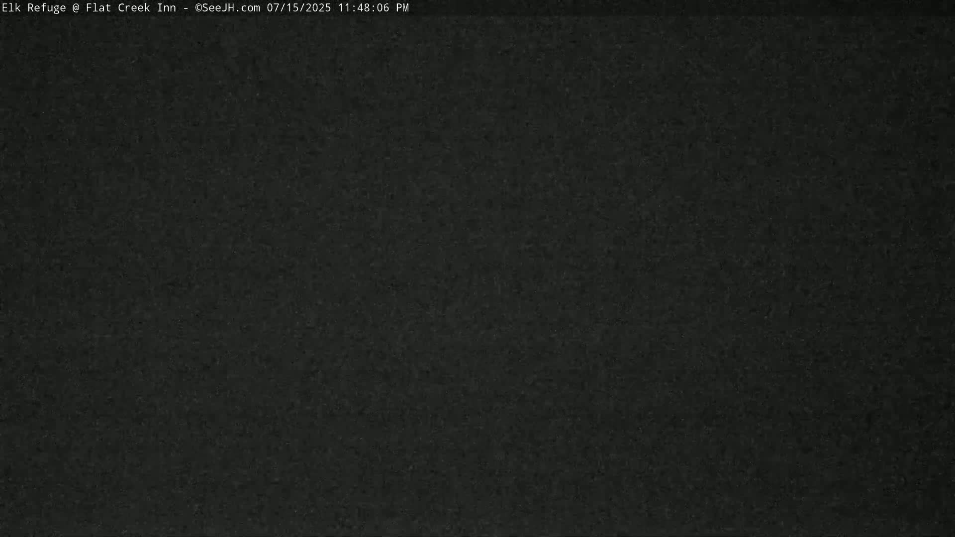 Jackson, Elk Refuge & Teton Mountains from Flat Creek Inn Live Cam - Jackson, Teton, Wyoming, USA