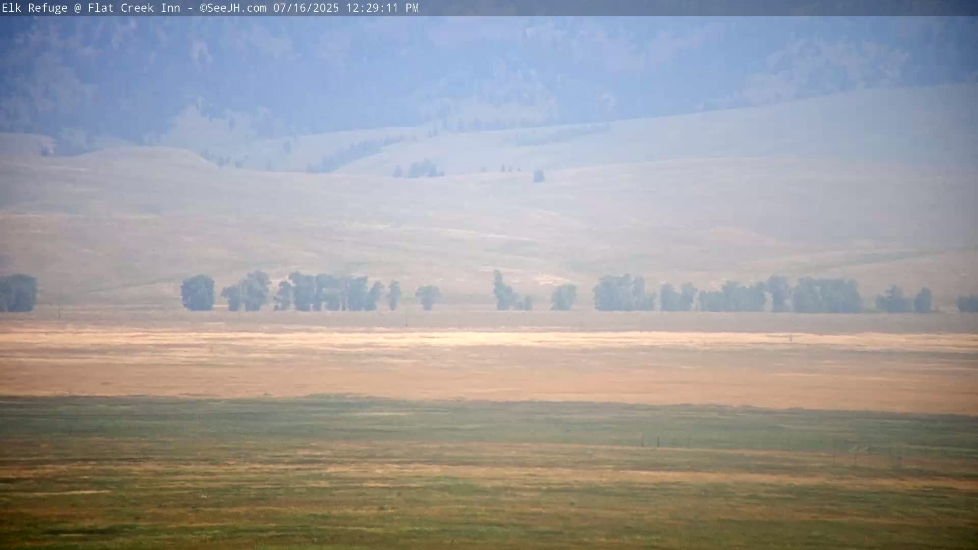Jackson, Elk Refuge & Teton Mountains from Flat Creek Inn Live Cam - Jackson, Teton, Wyoming, USA