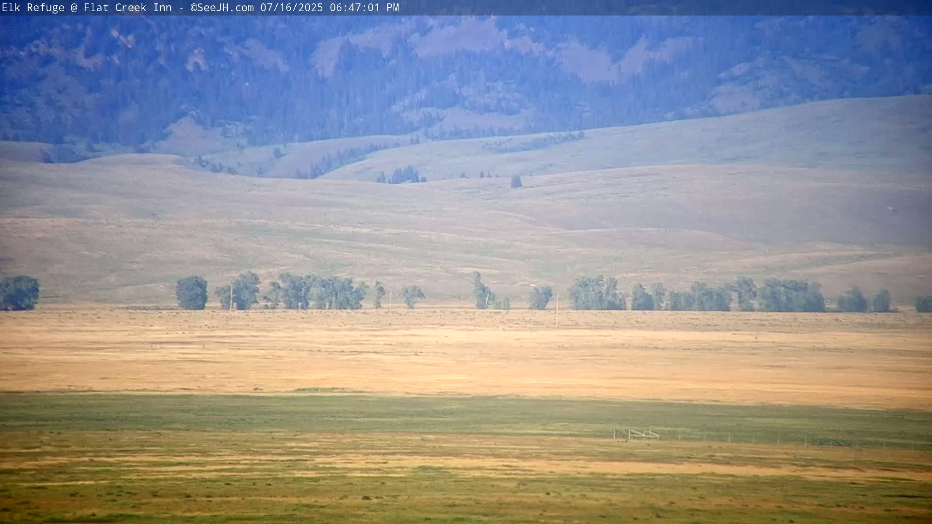 Jackson, Elk Refuge & Teton Mountains from Flat Creek Inn Live Cam - Jackson, Teton, Wyoming, USA
