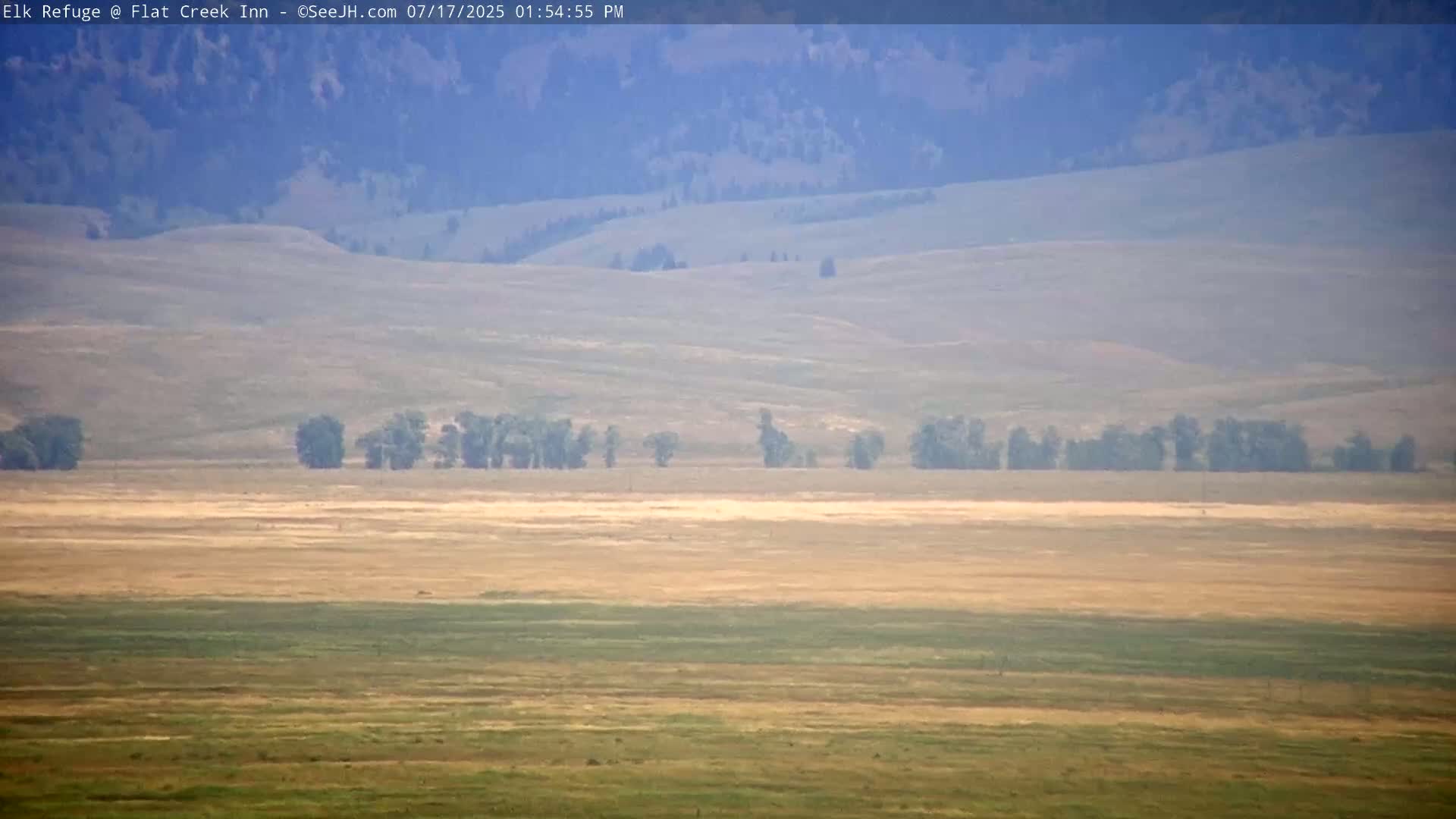 Jackson, Elk Refuge & Teton Mountains from Flat Creek Inn Live Cam - Jackson, Teton, Wyoming, USA