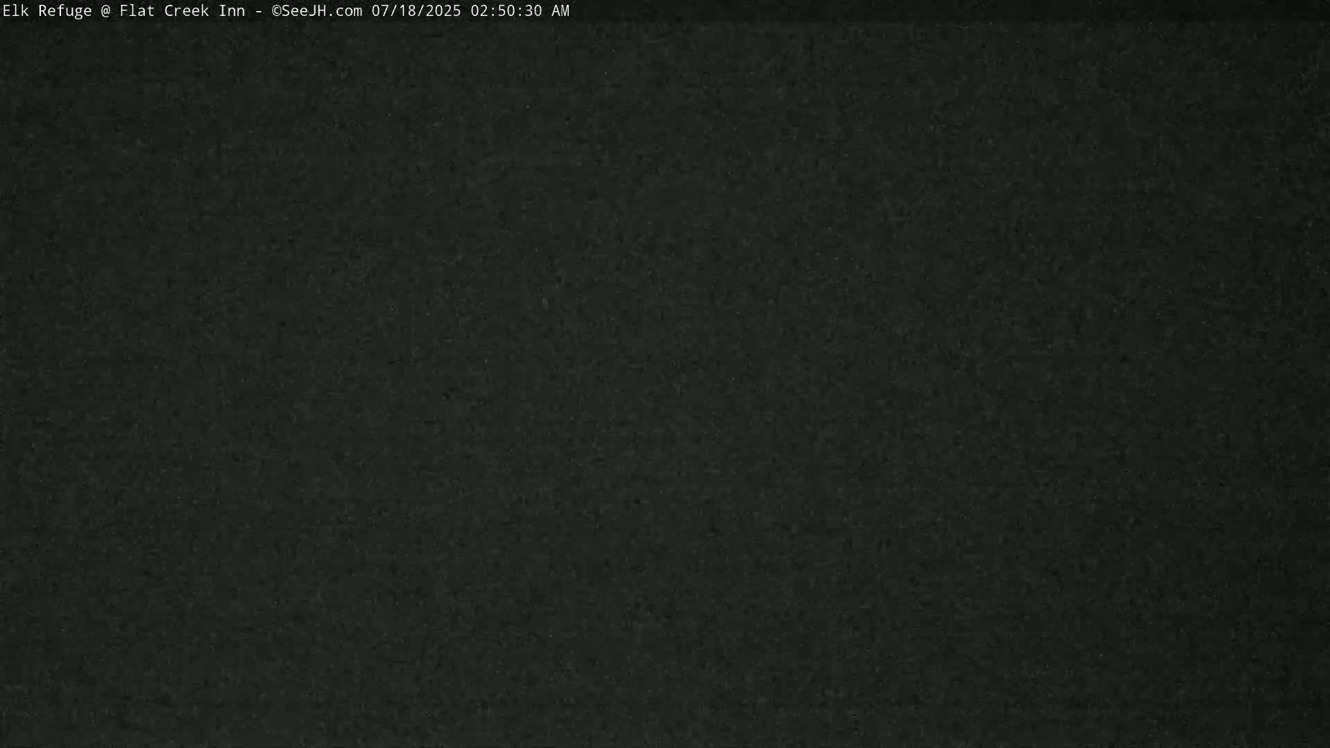 Jackson, Elk Refuge & Teton Mountains from Flat Creek Inn Live Cam - Jackson, Teton, Wyoming, USA