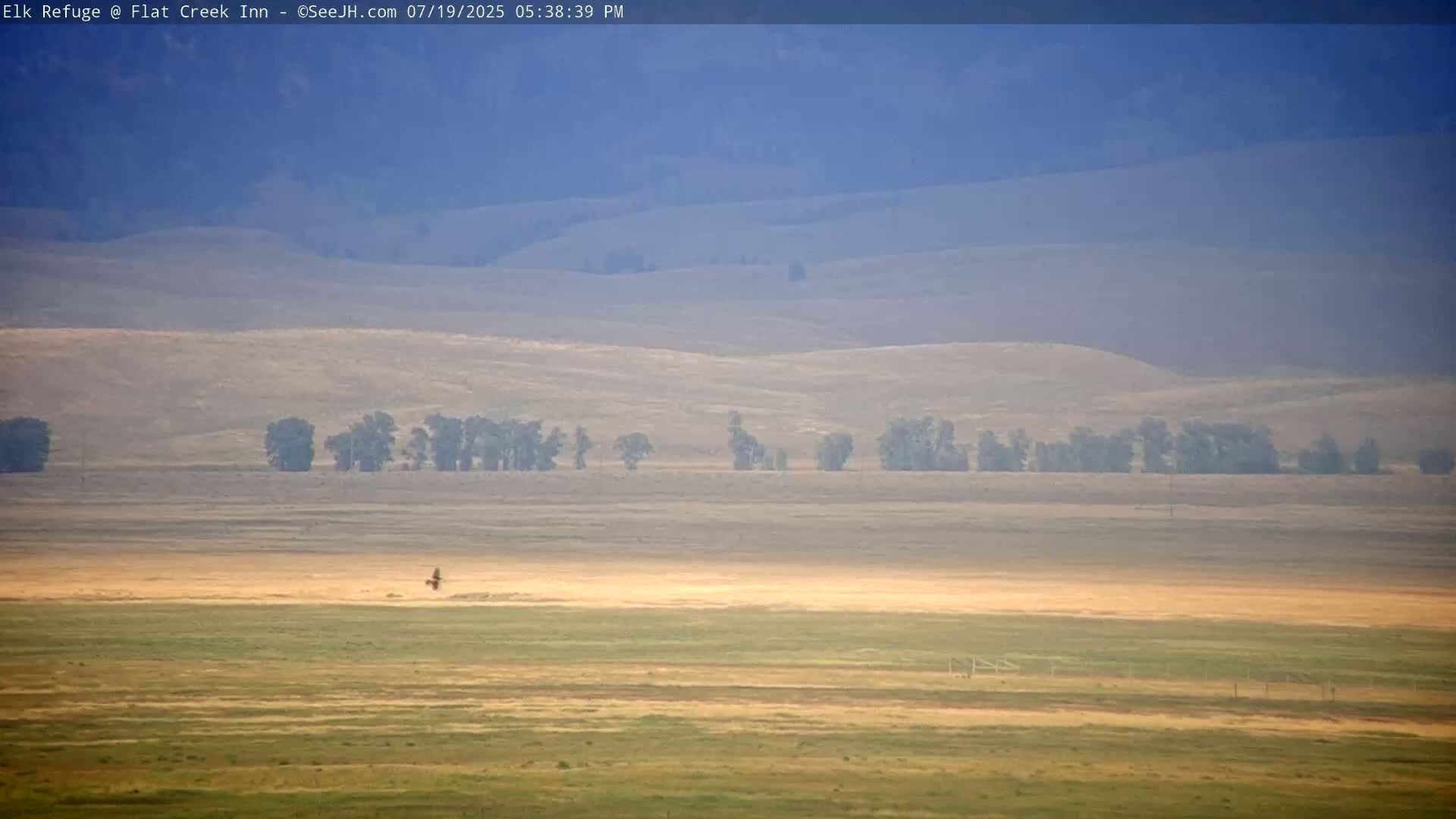 Jackson, Elk Refuge & Teton Mountains from Flat Creek Inn Live Cam - Jackson, Teton, Wyoming, USA