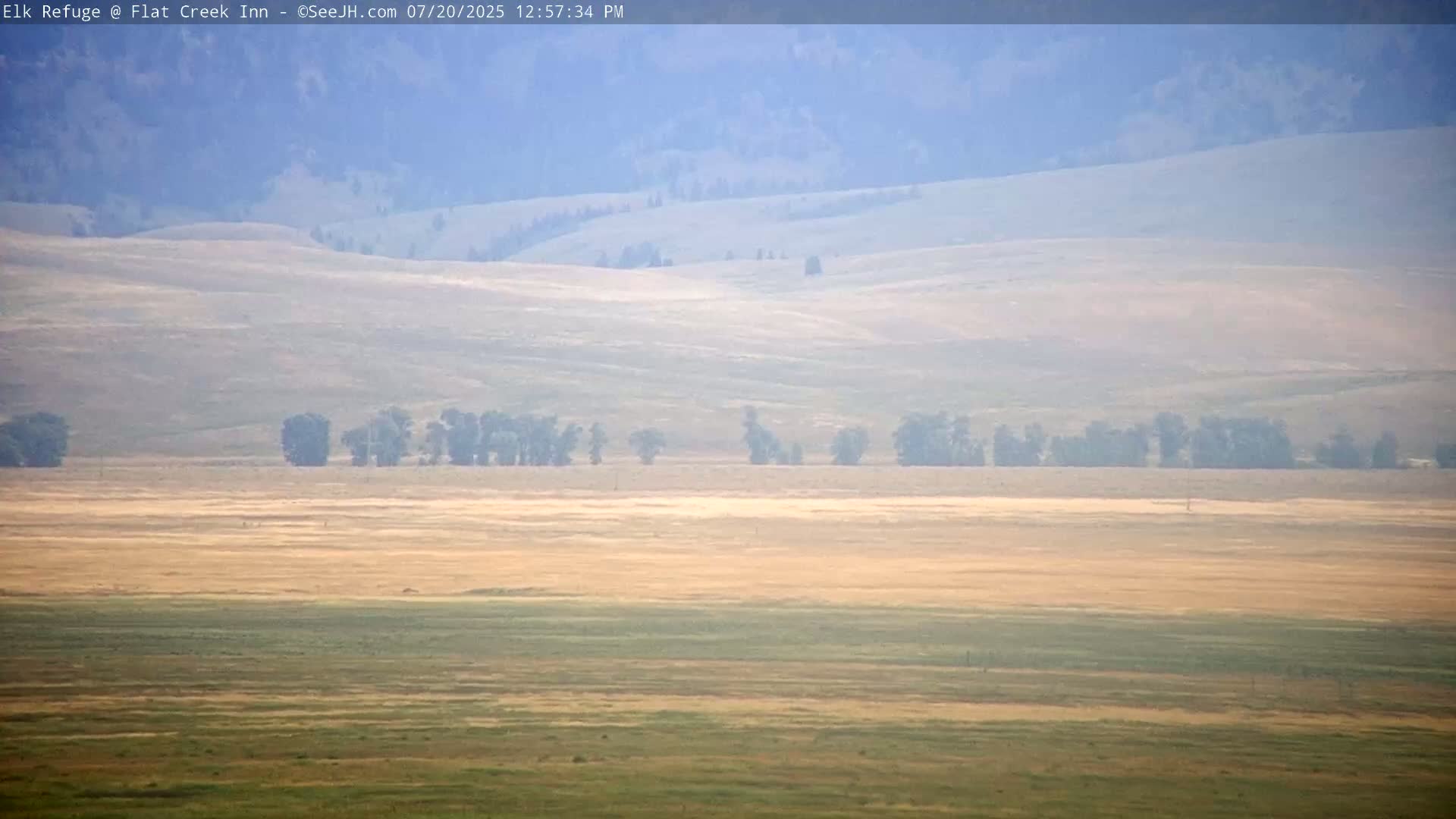 Jackson, Elk Refuge & Teton Mountains from Flat Creek Inn Live Cam - Jackson, Teton, Wyoming, USA