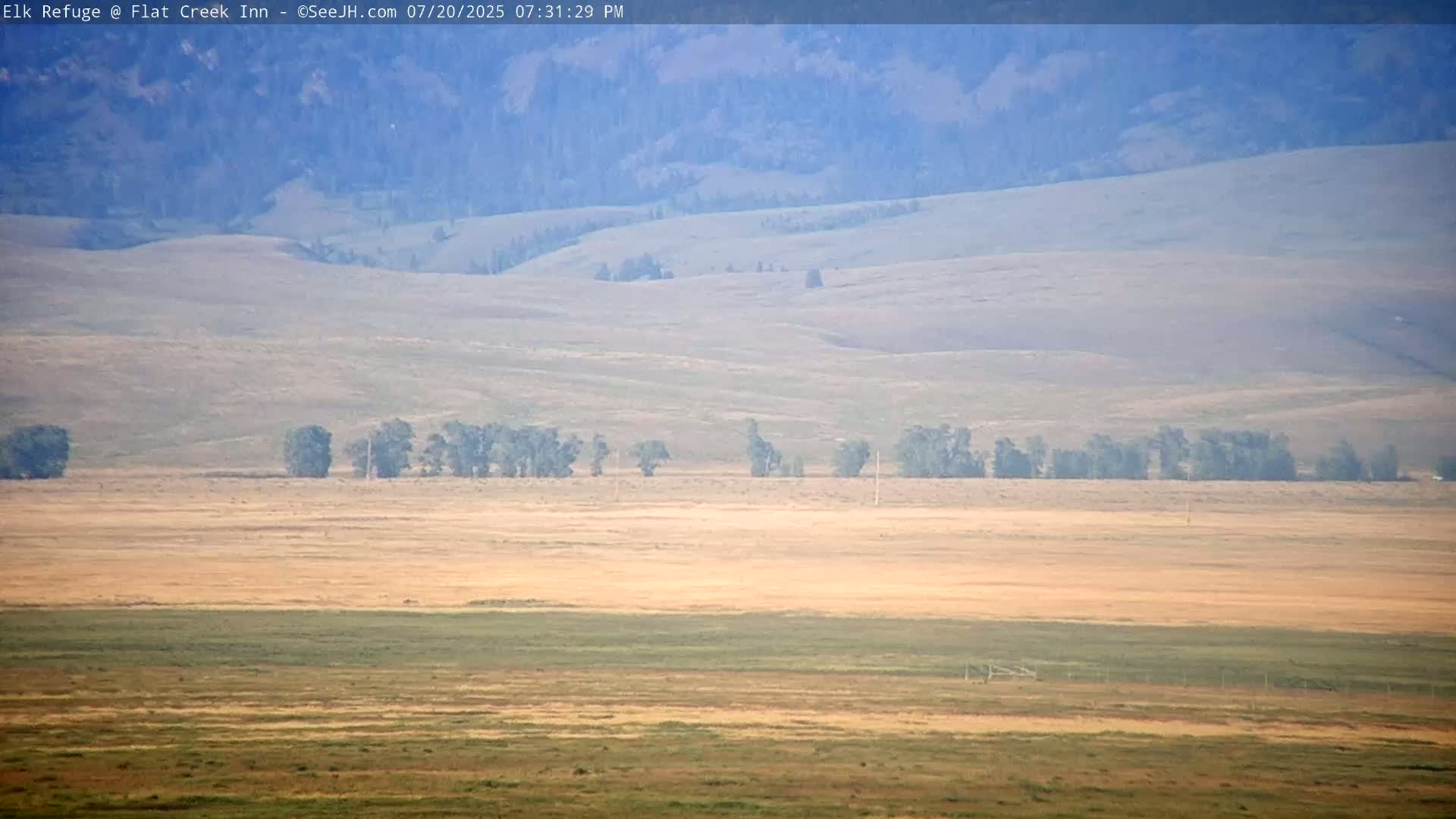 Jackson, Elk Refuge & Teton Mountains from Flat Creek Inn Live Cam - Jackson, Teton, Wyoming, USA