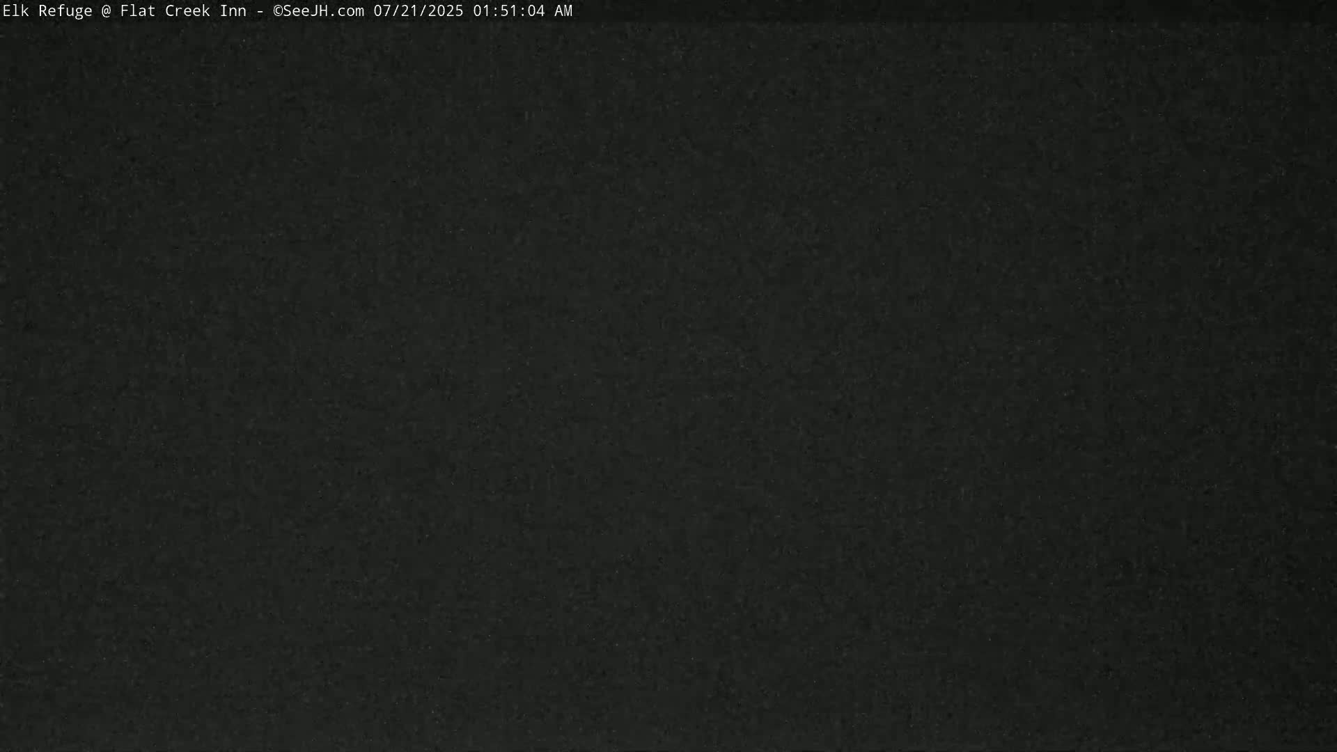 A dark, uniformly colored image shows a solid black surface.