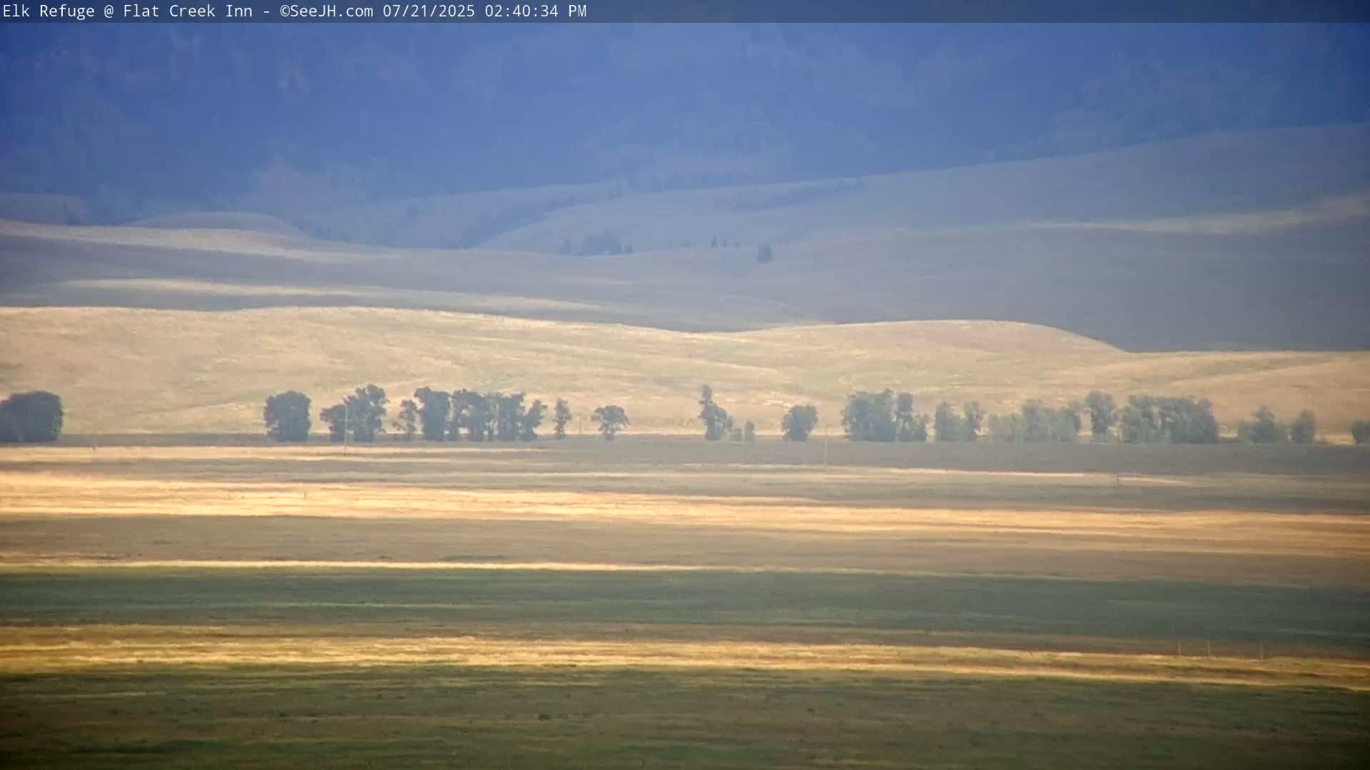 Jackson, Elk Refuge & Teton Mountains from Flat Creek Inn Live Cam - Jackson, Teton, Wyoming, USA
