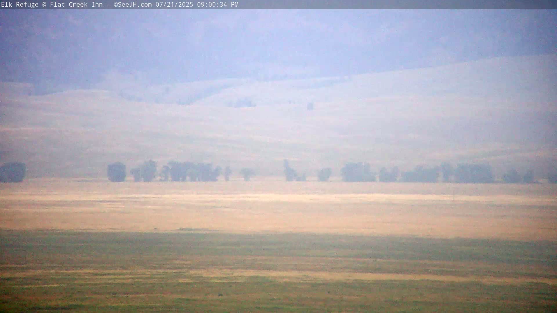 Jackson, Elk Refuge & Teton Mountains from Flat Creek Inn Live Cam - Jackson, Teton, Wyoming, USA