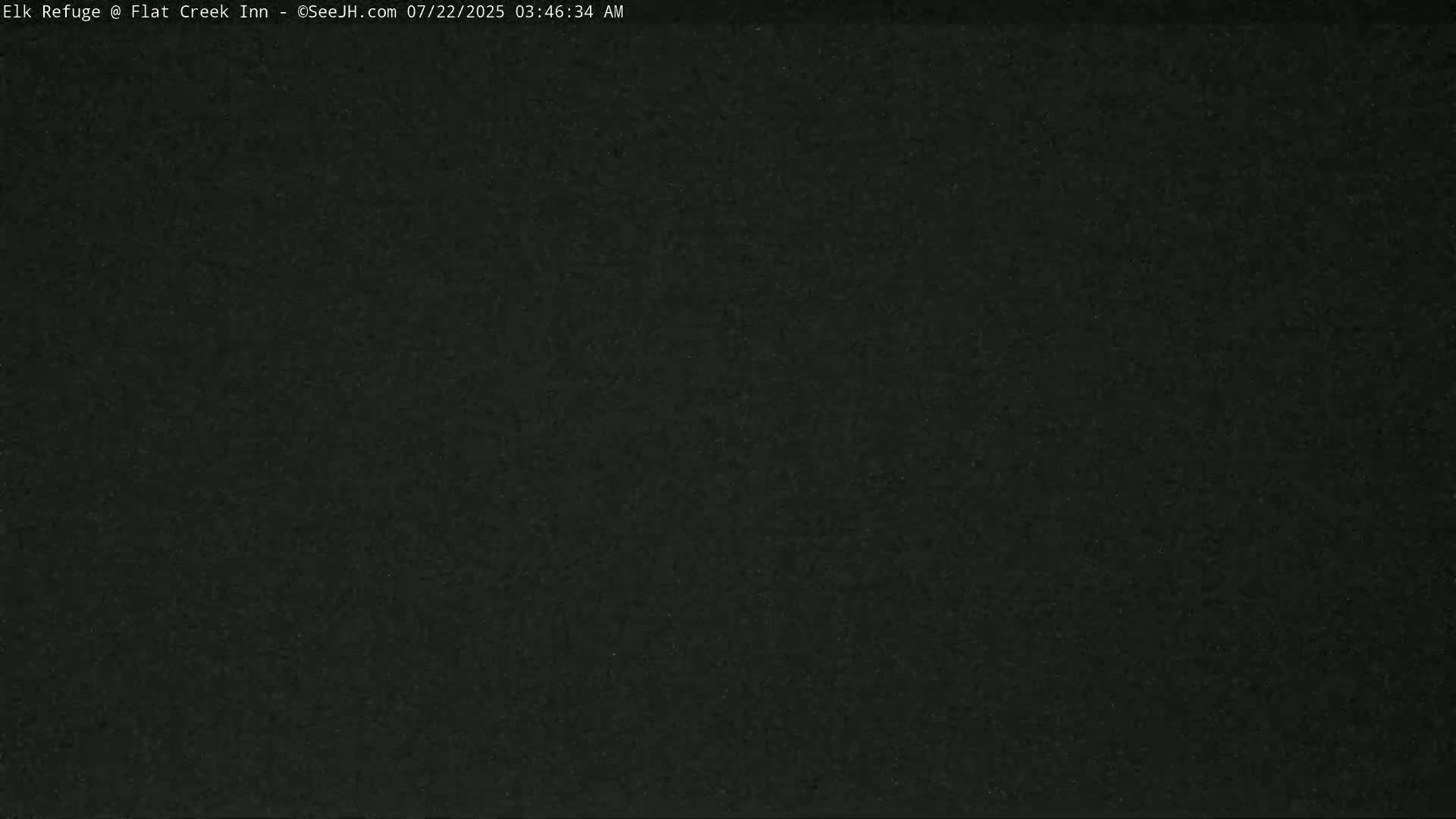 Jackson, Elk Refuge & Teton Mountains from Flat Creek Inn Live Cam - Jackson, Teton, Wyoming, USA