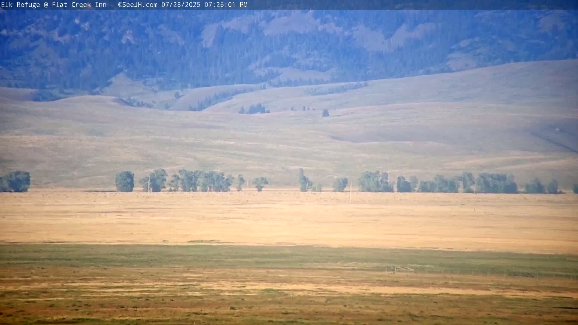 Jackson, Elk Refuge & Teton Mountains from Flat Creek Inn Live Cam - Jackson, Teton, Wyoming, USA