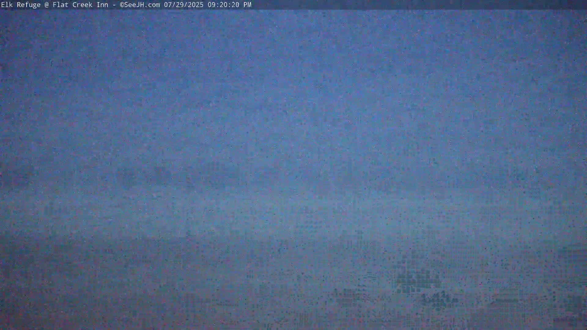 Jackson, Elk Refuge & Teton Mountains from Flat Creek Inn Live Cam - Jackson, Teton, Wyoming, USA