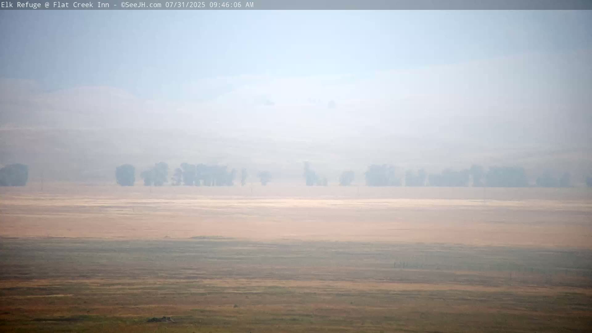A hazy, flat landscape with a line of trees in the middle distance under a light, smoky sky.