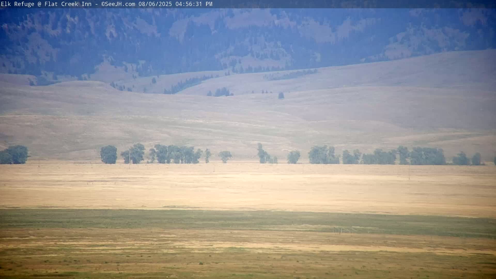 Jackson, Elk Refuge & Teton Mountains from Flat Creek Inn Live Cam - Jackson, Teton, Wyoming, USA