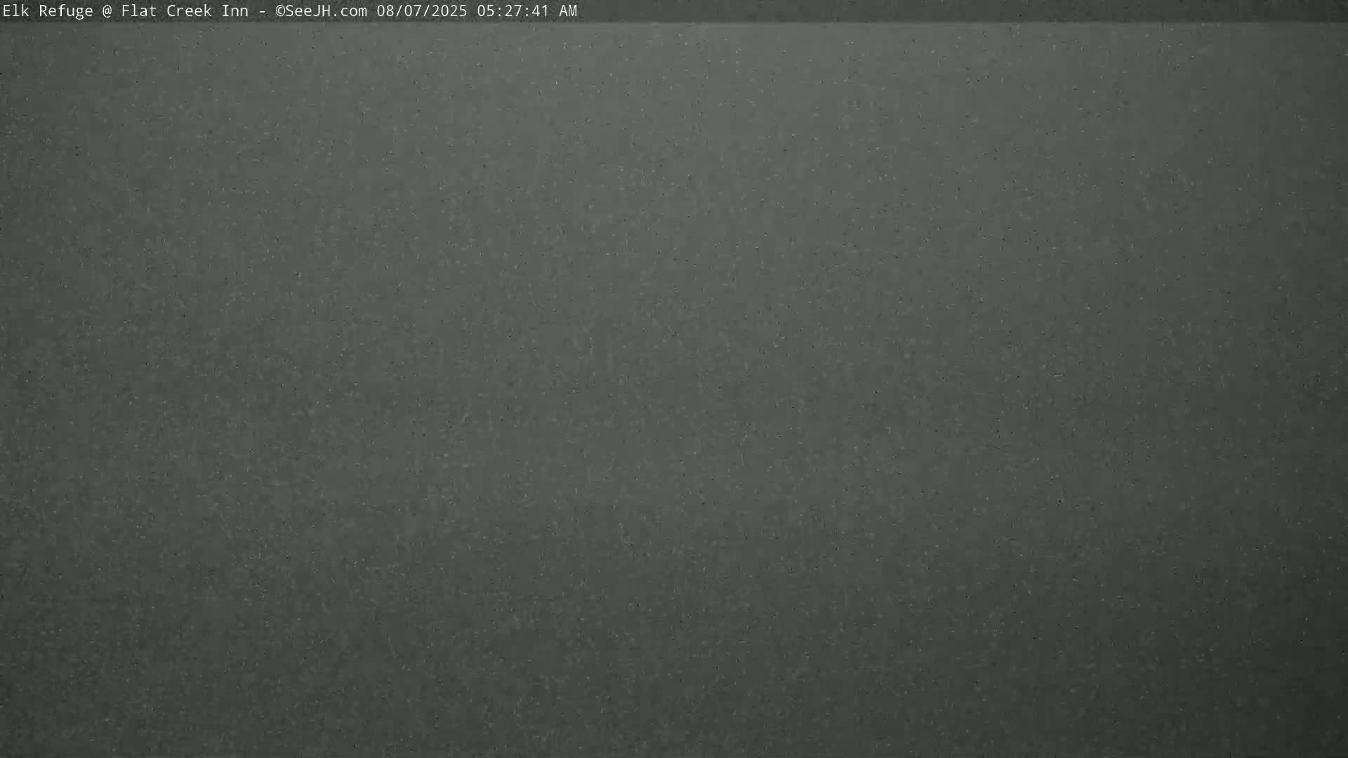 Jackson, Elk Refuge & Teton Mountains from Flat Creek Inn Live Cam - Jackson, Teton, Wyoming, USA
