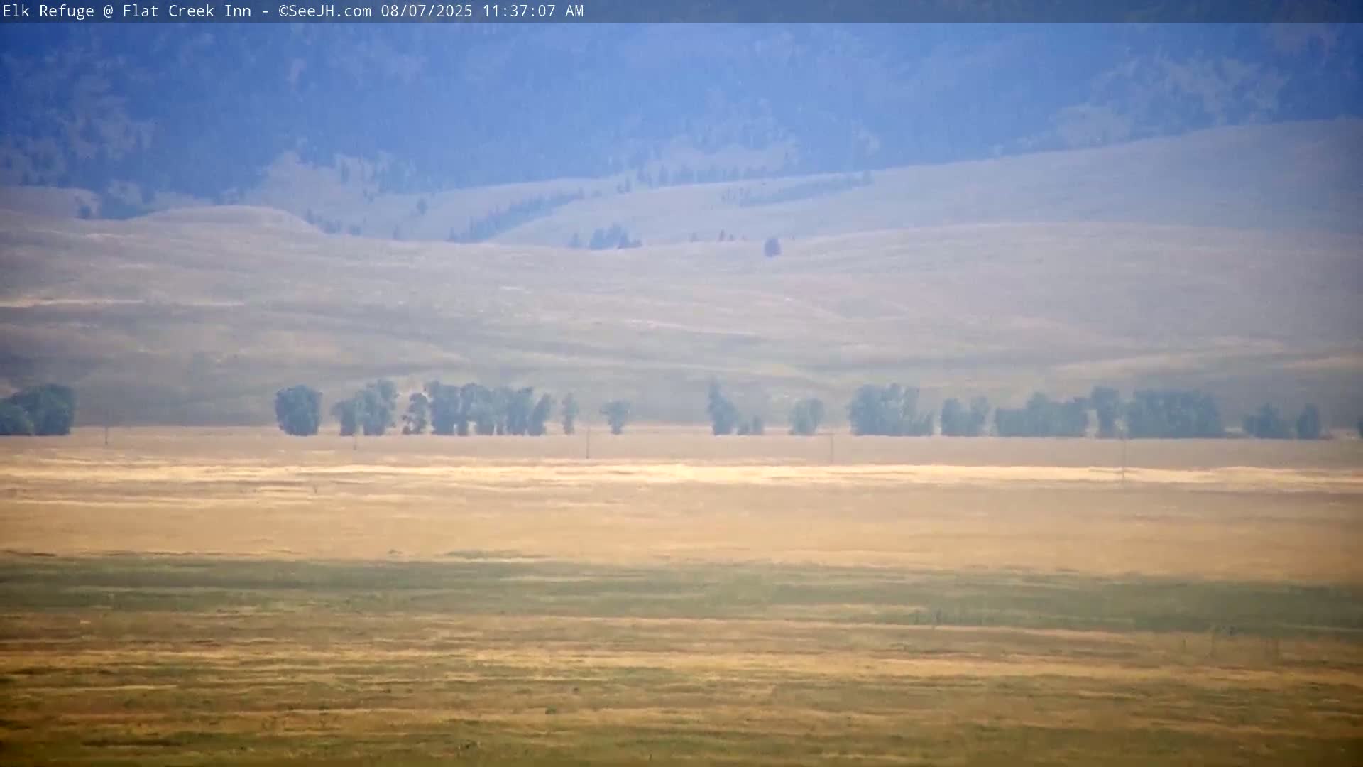 Jackson, Elk Refuge & Teton Mountains from Flat Creek Inn Live Cam - Jackson, Teton, Wyoming, USA