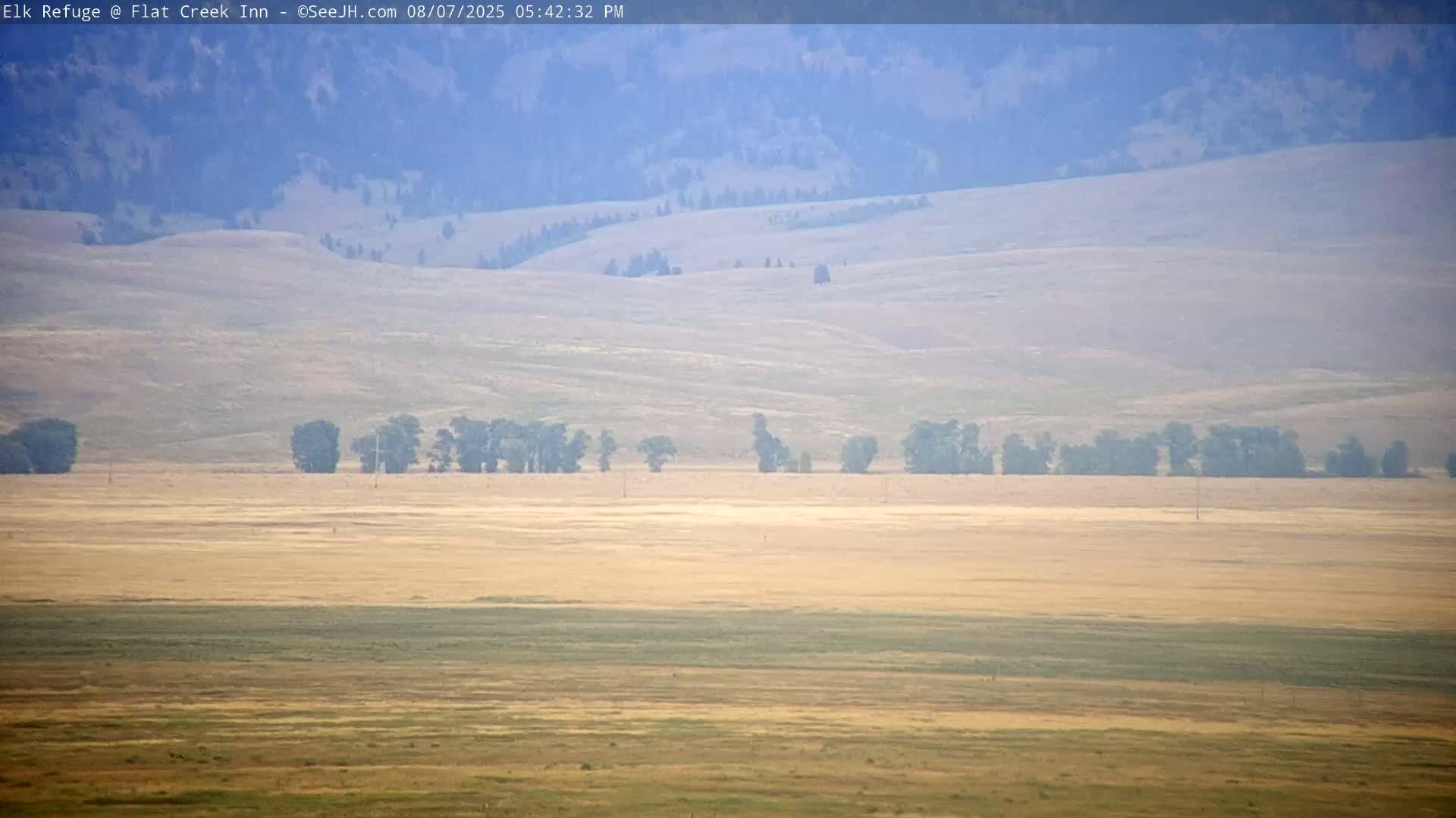 Jackson, Elk Refuge & Teton Mountains from Flat Creek Inn Live Cam - Jackson, Teton, Wyoming, USA