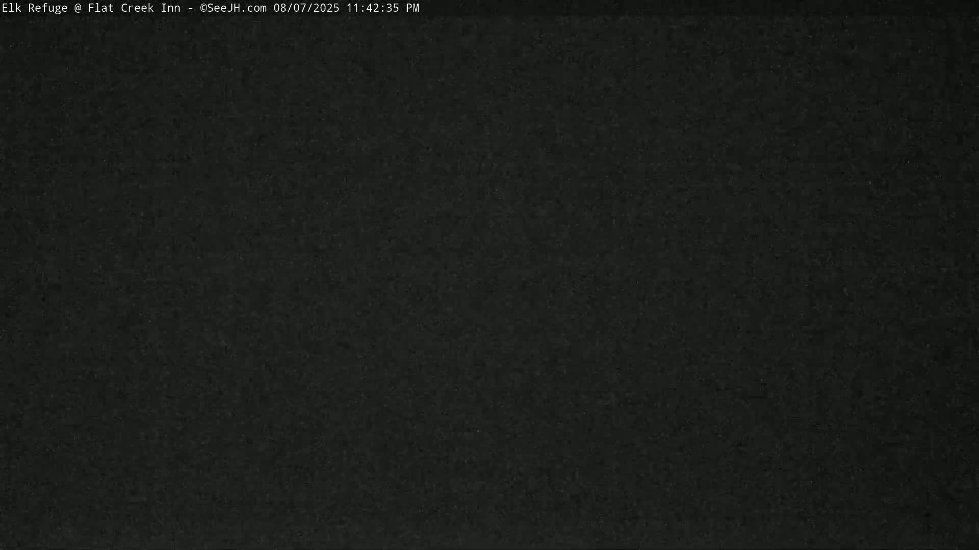 Jackson, Elk Refuge & Teton Mountains from Flat Creek Inn Live Cam - Jackson, Teton, Wyoming, USA