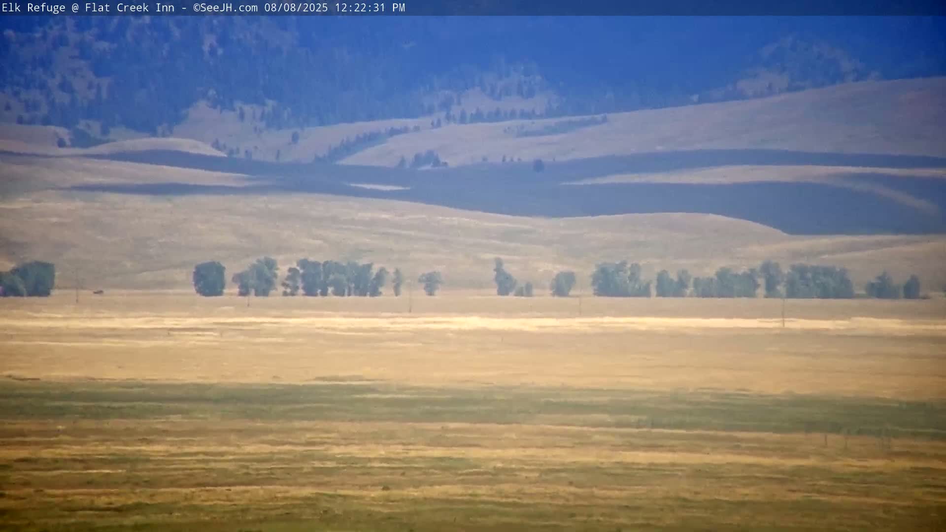 Jackson, Elk Refuge & Teton Mountains from Flat Creek Inn Live Cam - Jackson, Teton, Wyoming, USA