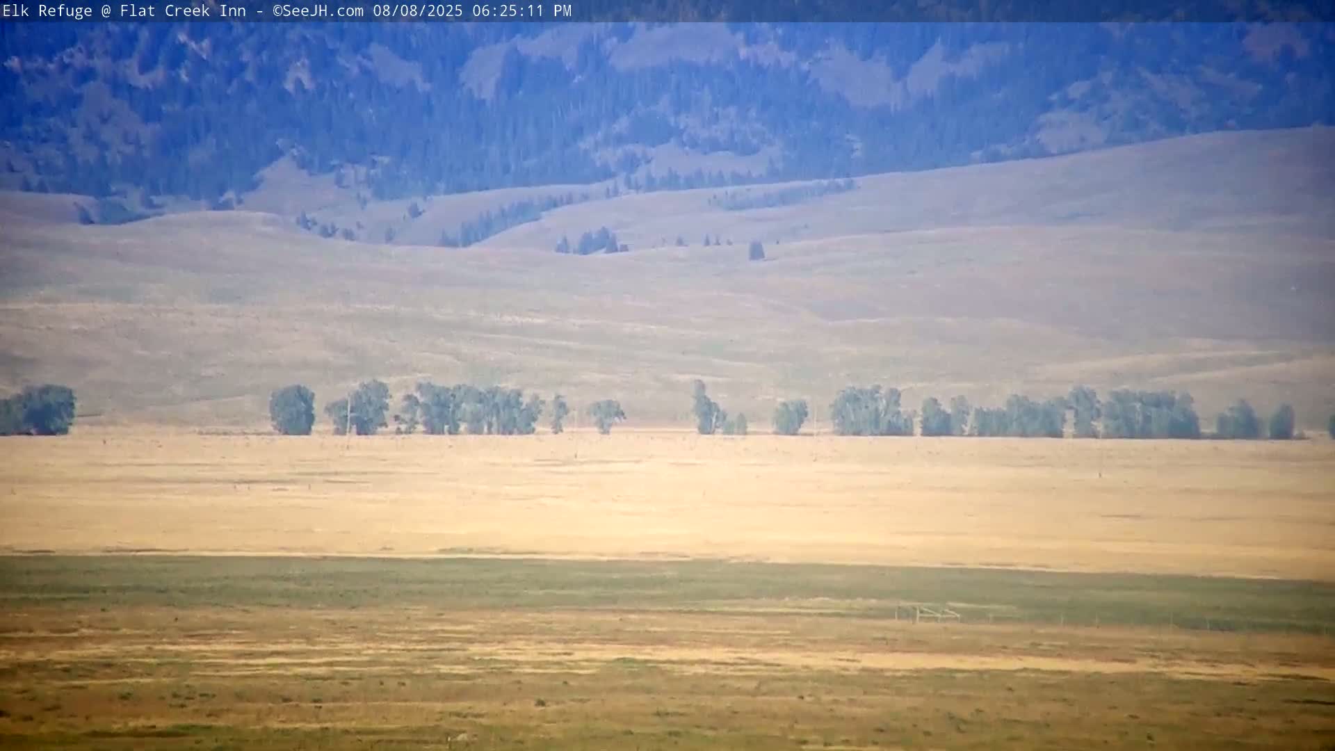 Jackson, Elk Refuge & Teton Mountains from Flat Creek Inn Live Cam - Jackson, Teton, Wyoming, USA
