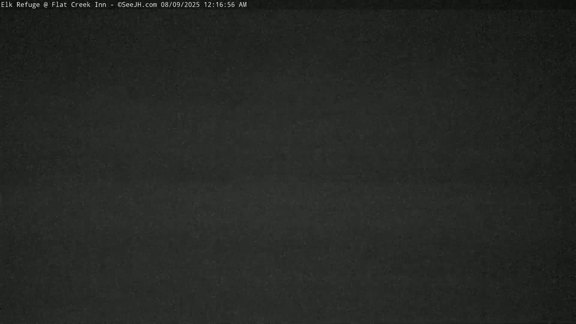 Jackson, Elk Refuge & Teton Mountains from Flat Creek Inn Live Cam - Jackson, Teton, Wyoming, USA