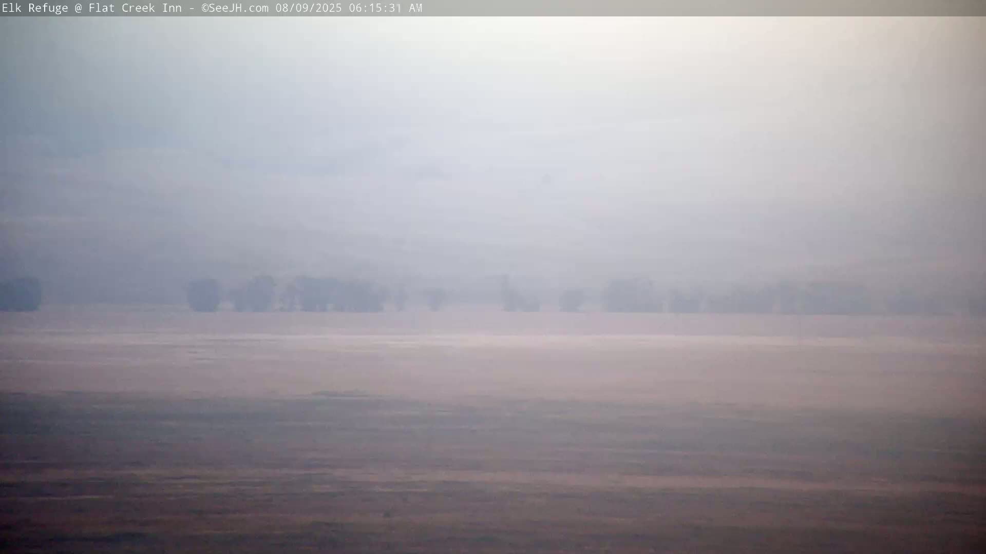 Jackson, Elk Refuge & Teton Mountains from Flat Creek Inn Live Cam - Jackson, Teton, Wyoming, USA