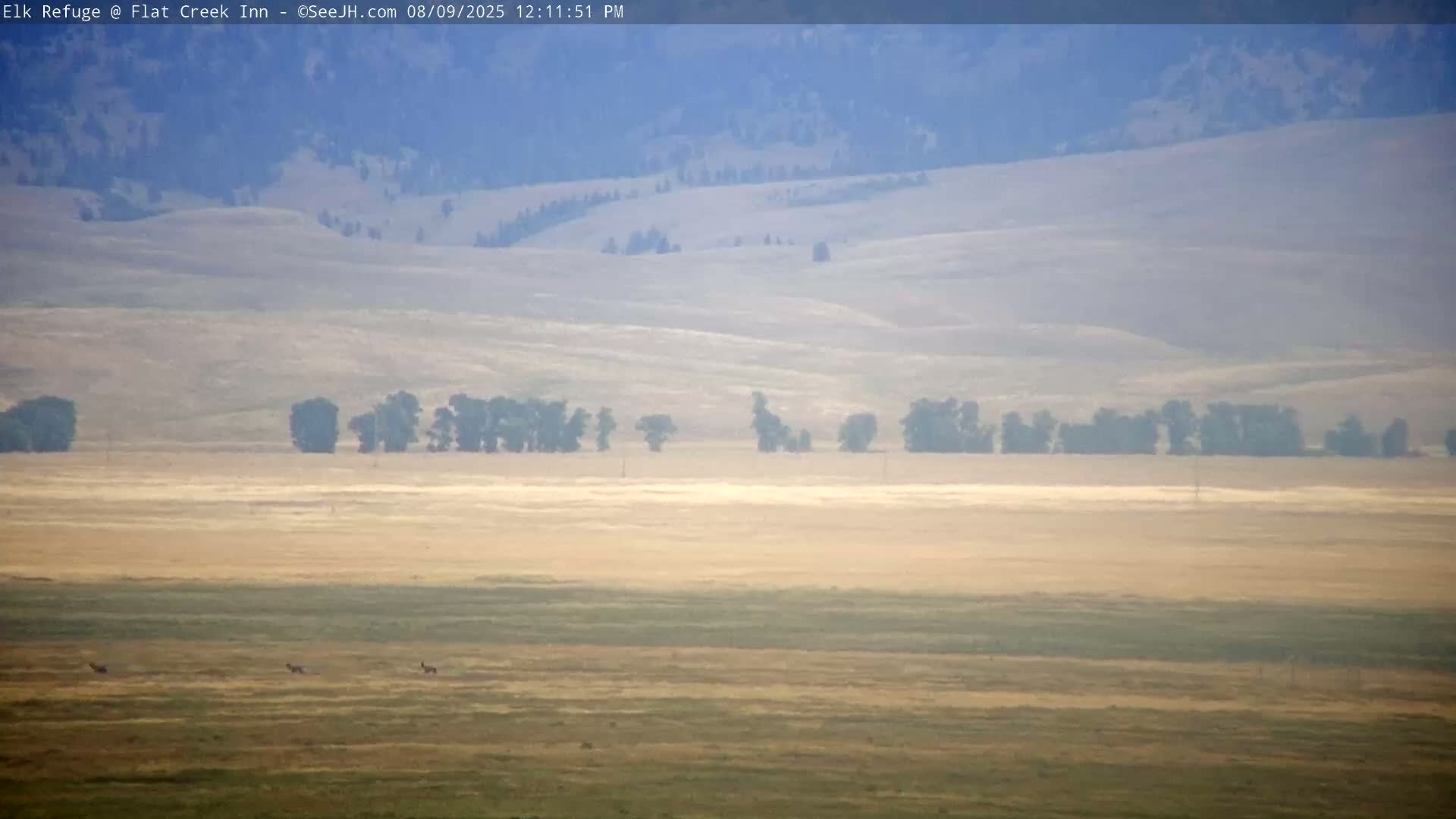 Jackson, Elk Refuge & Teton Mountains from Flat Creek Inn Live Cam - Jackson, Teton, Wyoming, USA