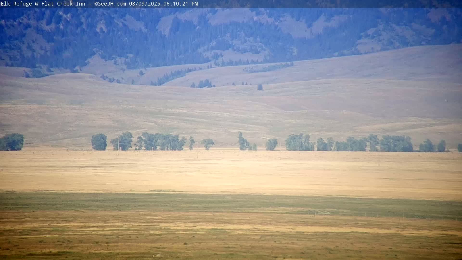 Jackson, Elk Refuge & Teton Mountains from Flat Creek Inn Live Cam - Jackson, Teton, Wyoming, USA