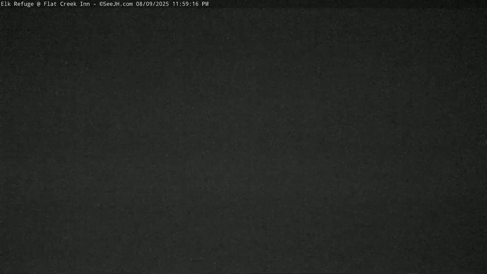 Jackson, Elk Refuge & Teton Mountains from Flat Creek Inn Live Cam - Jackson, Teton, Wyoming, USA