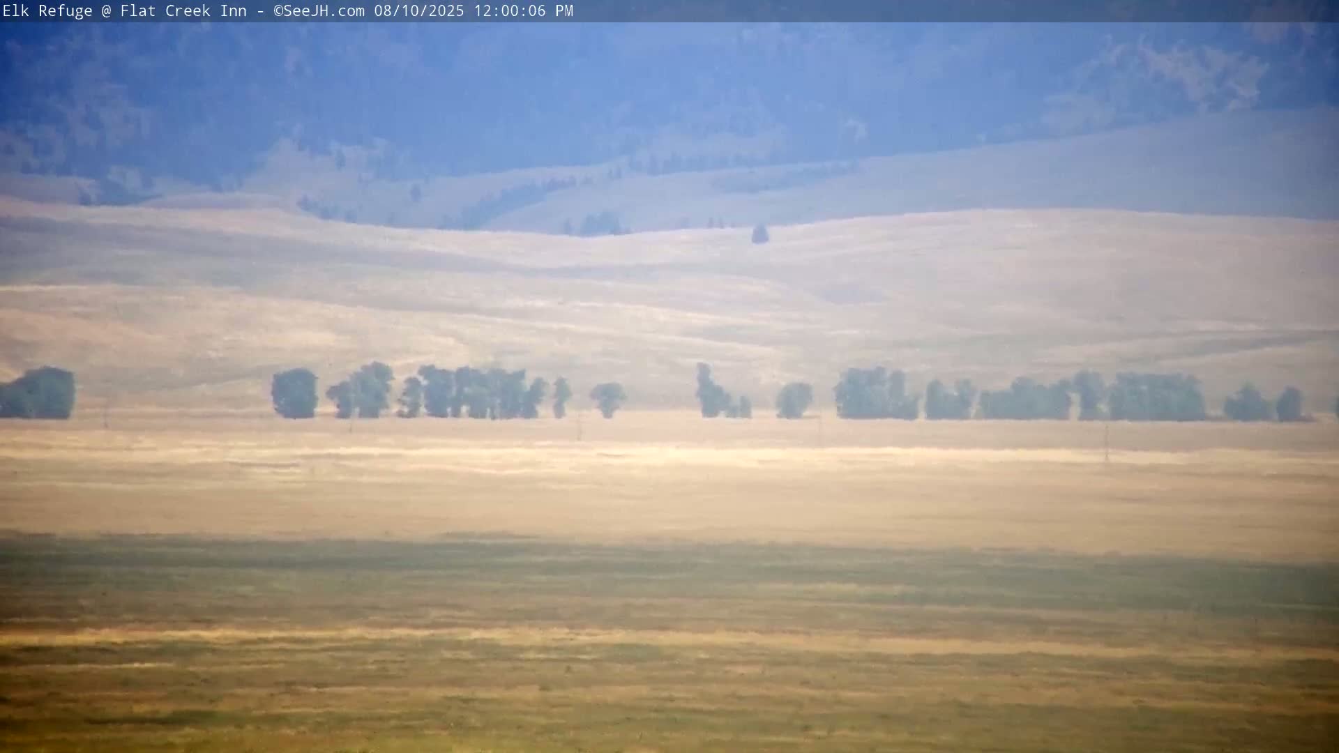 Jackson, Elk Refuge & Teton Mountains from Flat Creek Inn Live Cam - Jackson, Teton, Wyoming, USA